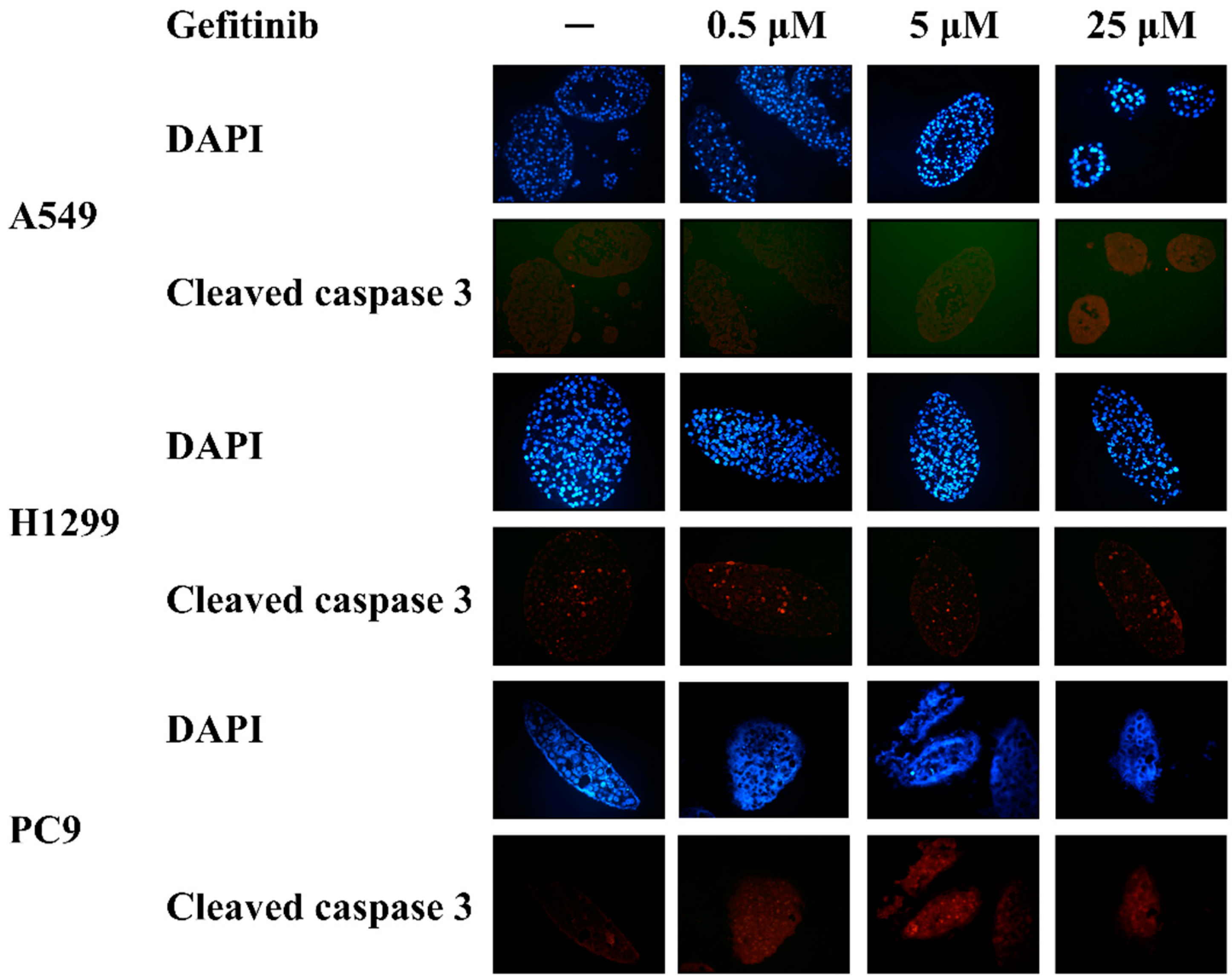 Diagnostics 14 00998 g002