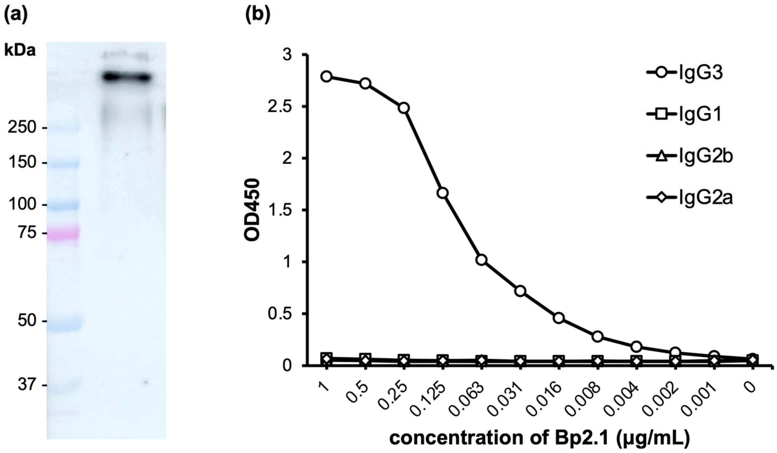 Diagnostics 14 01033 g001