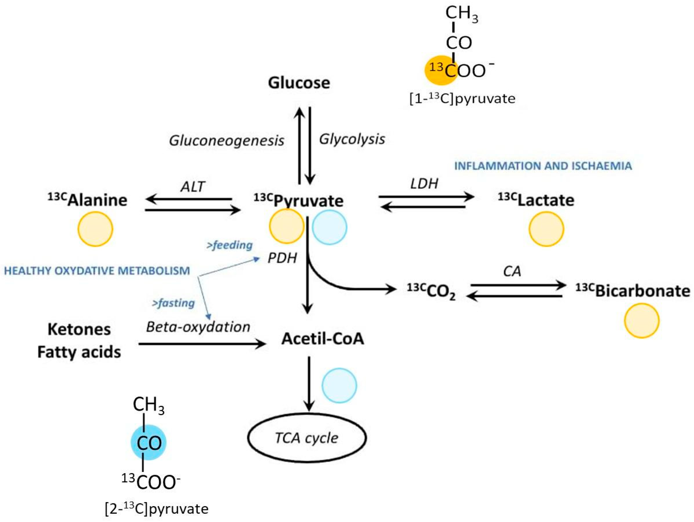 Diagnostics 14 01035 g002