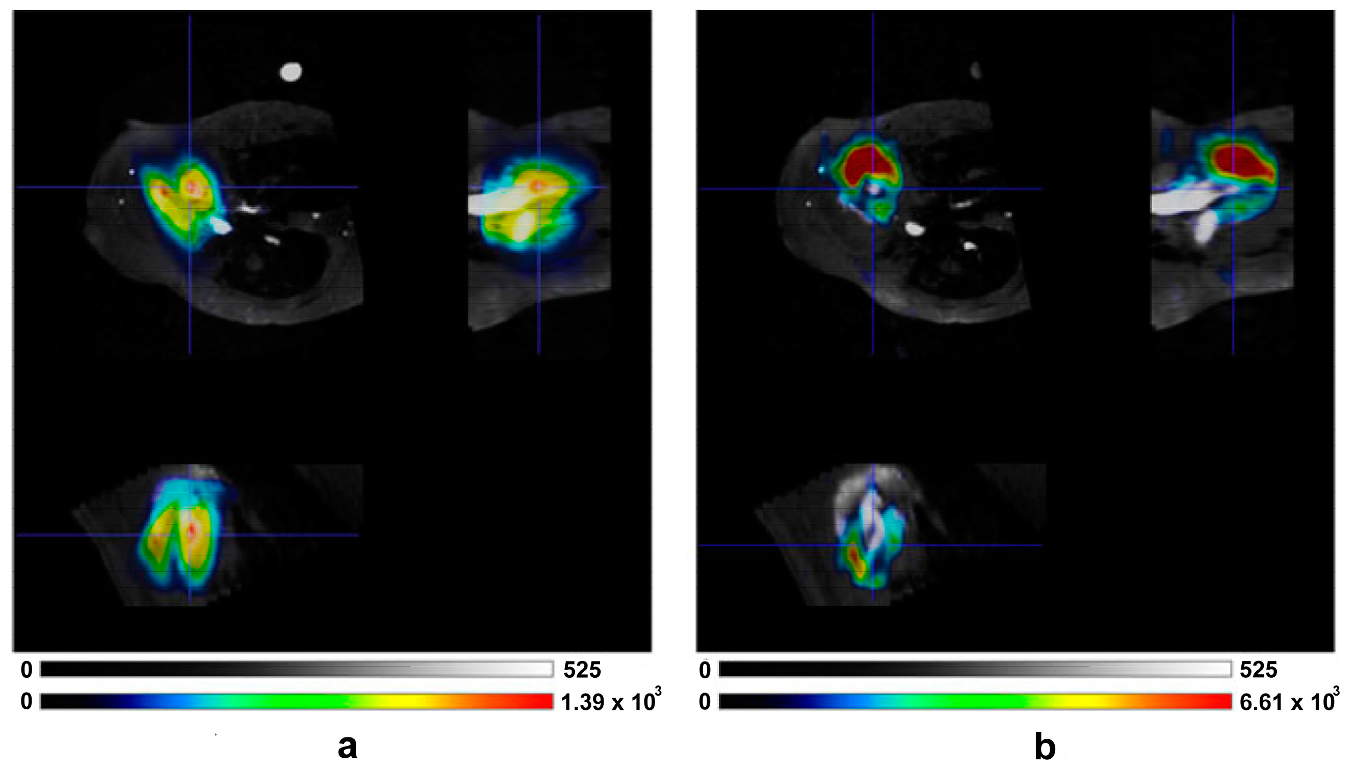 Diagnostics 14 01035 g004