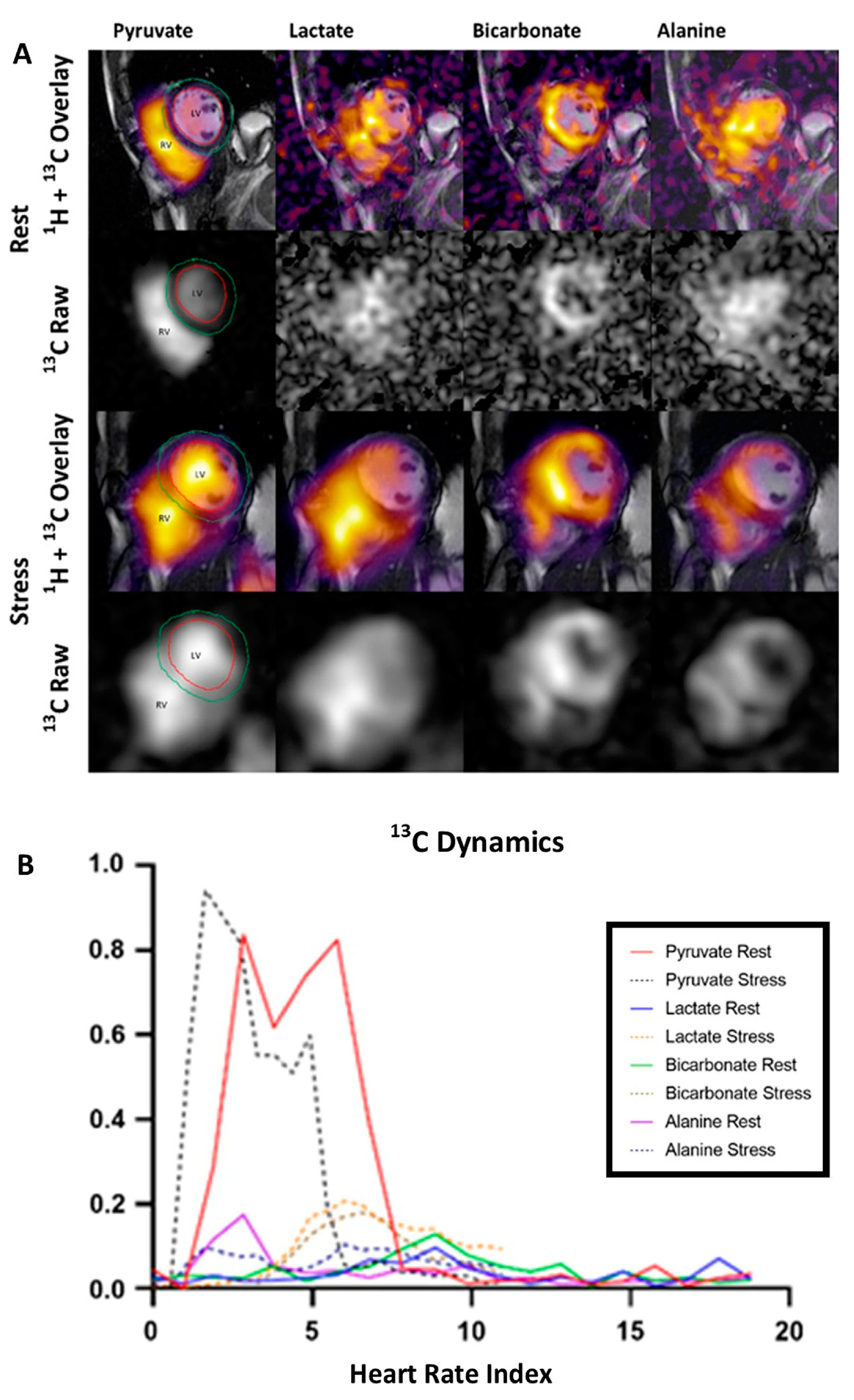 Diagnostics 14 01035 g007