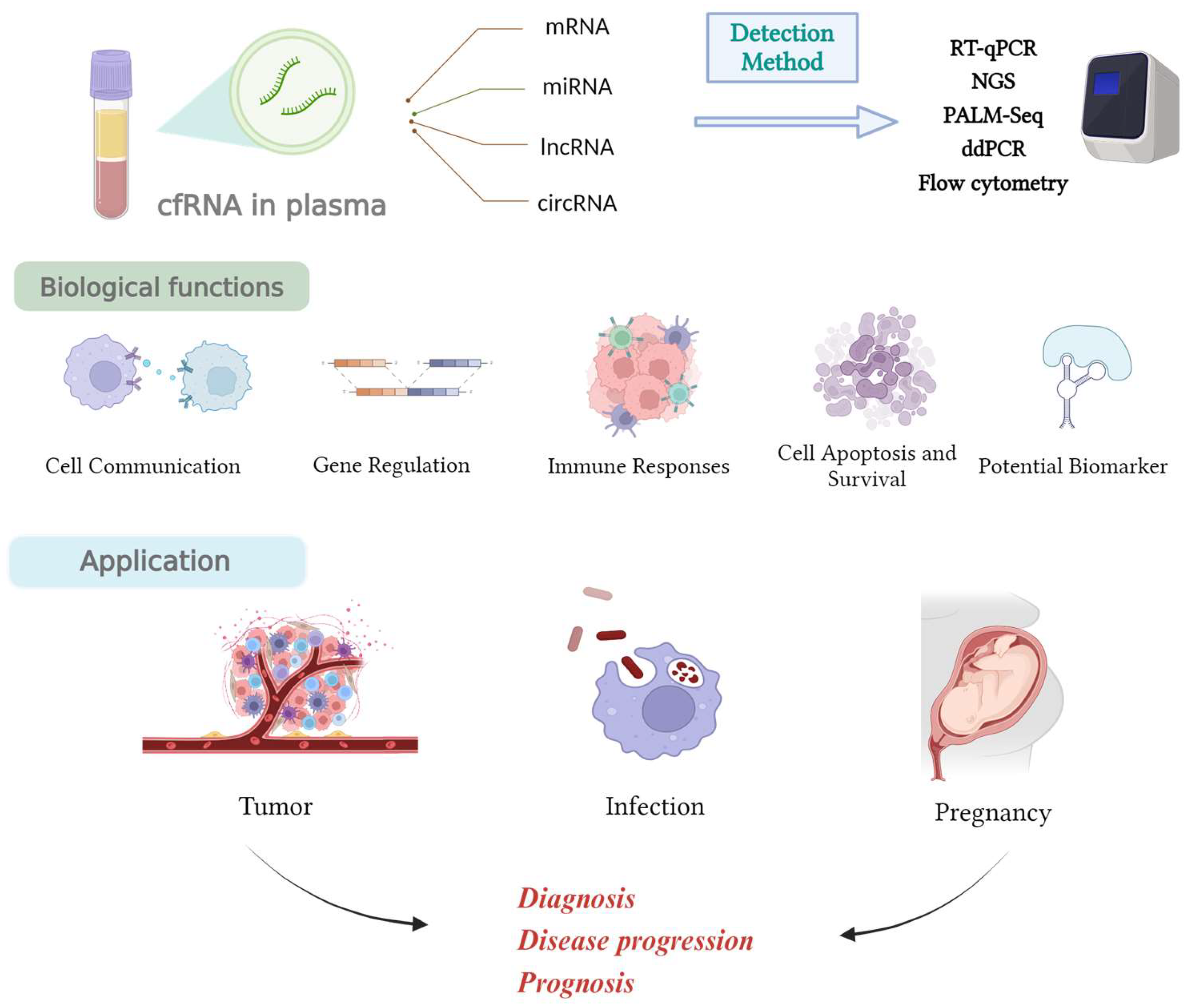 Diagnostics 14 01045 g001