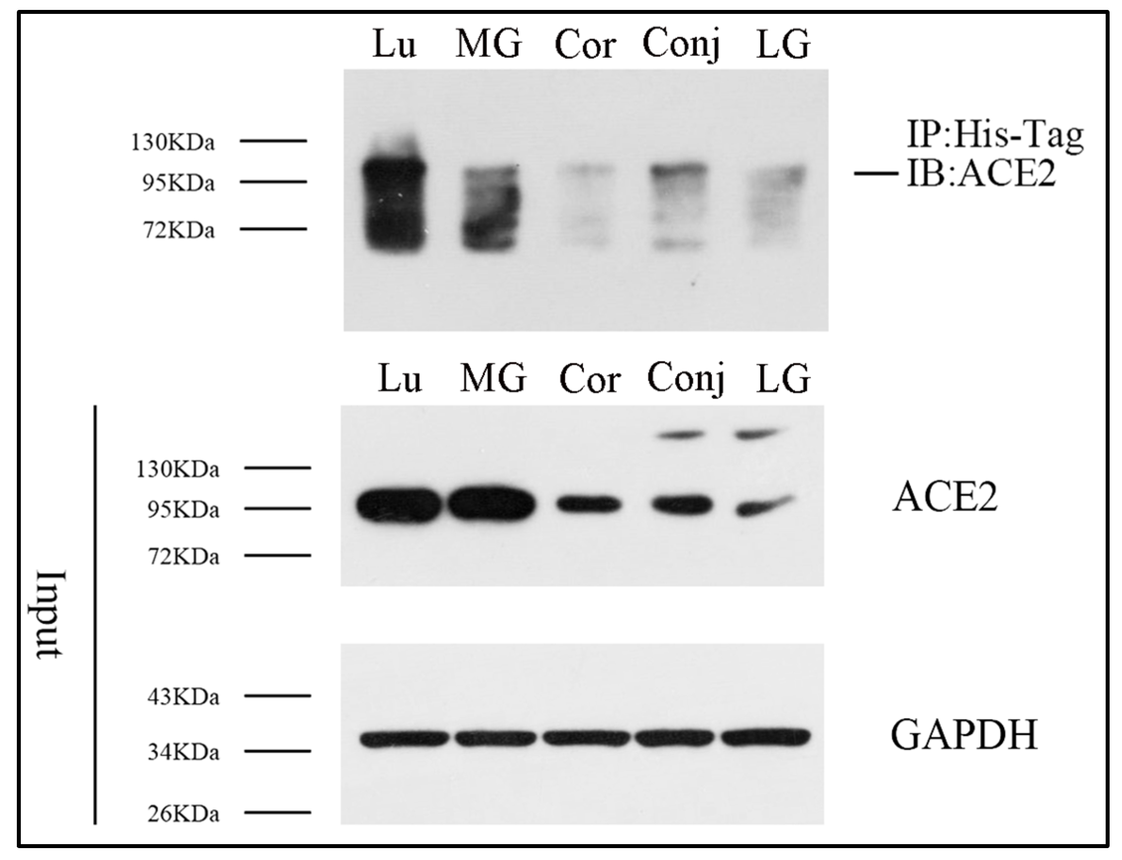 Diseases 12 00169 g002