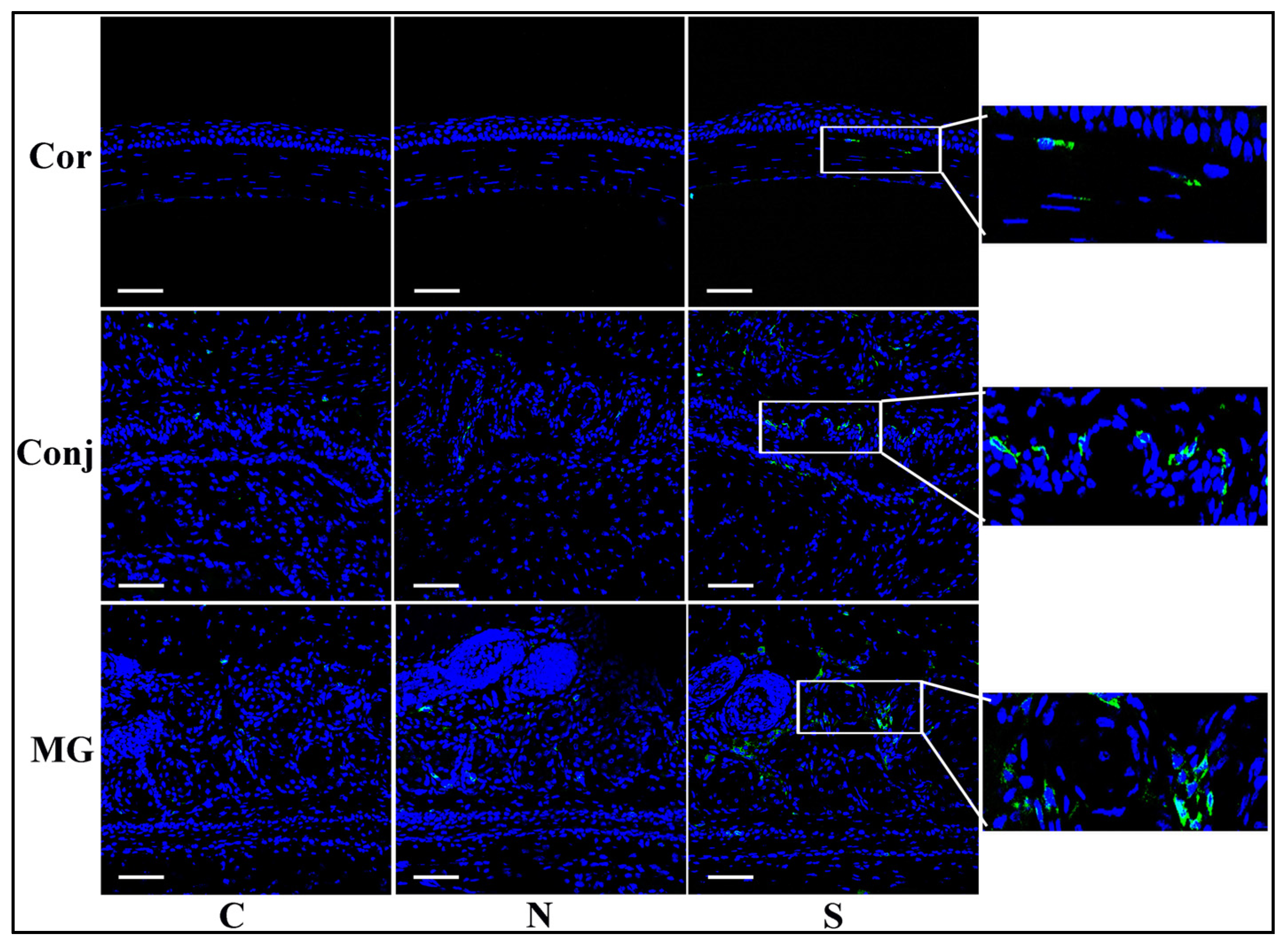 Diseases 12 00169 g004