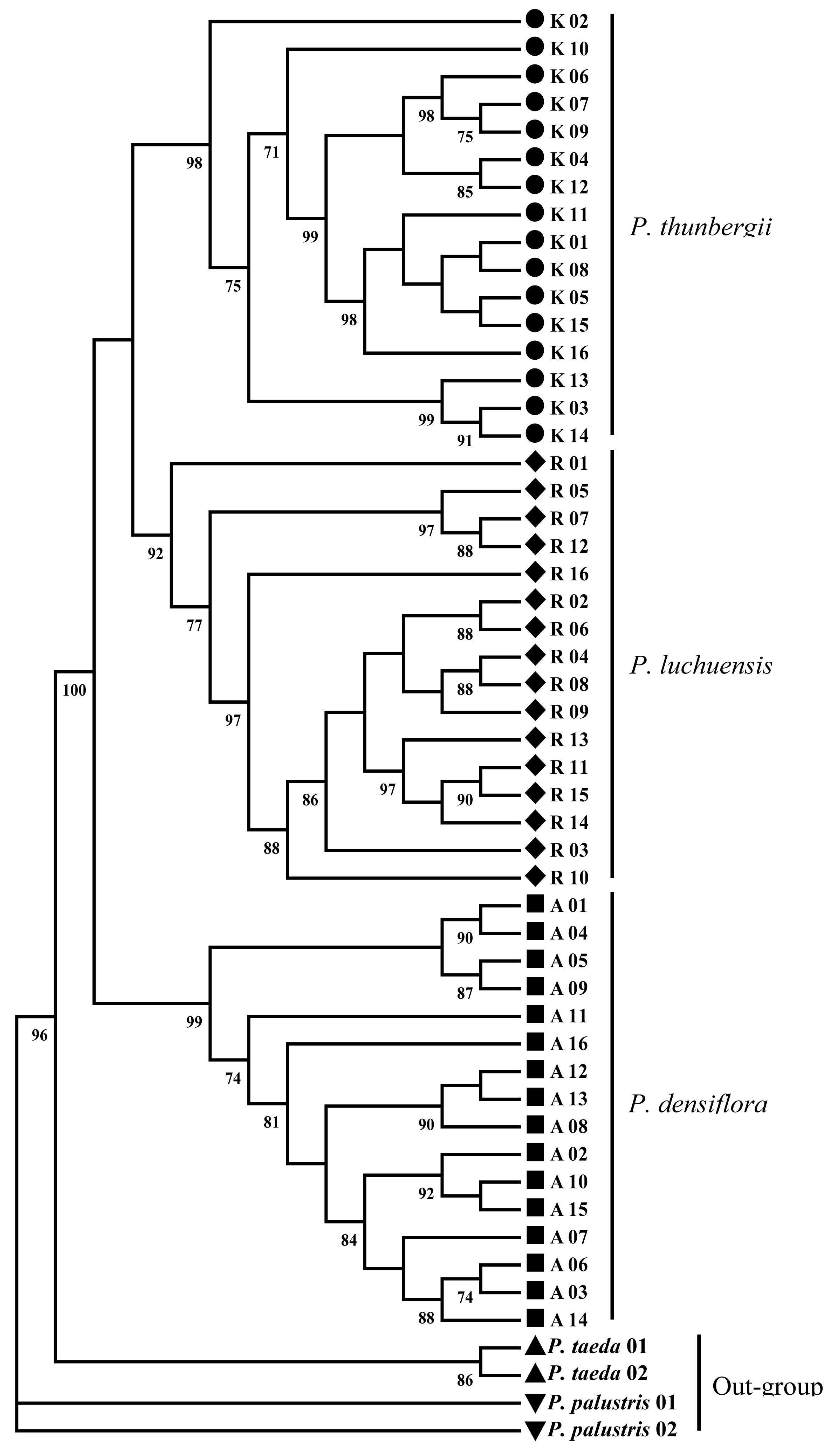 Diversity 03 00121f1 1024