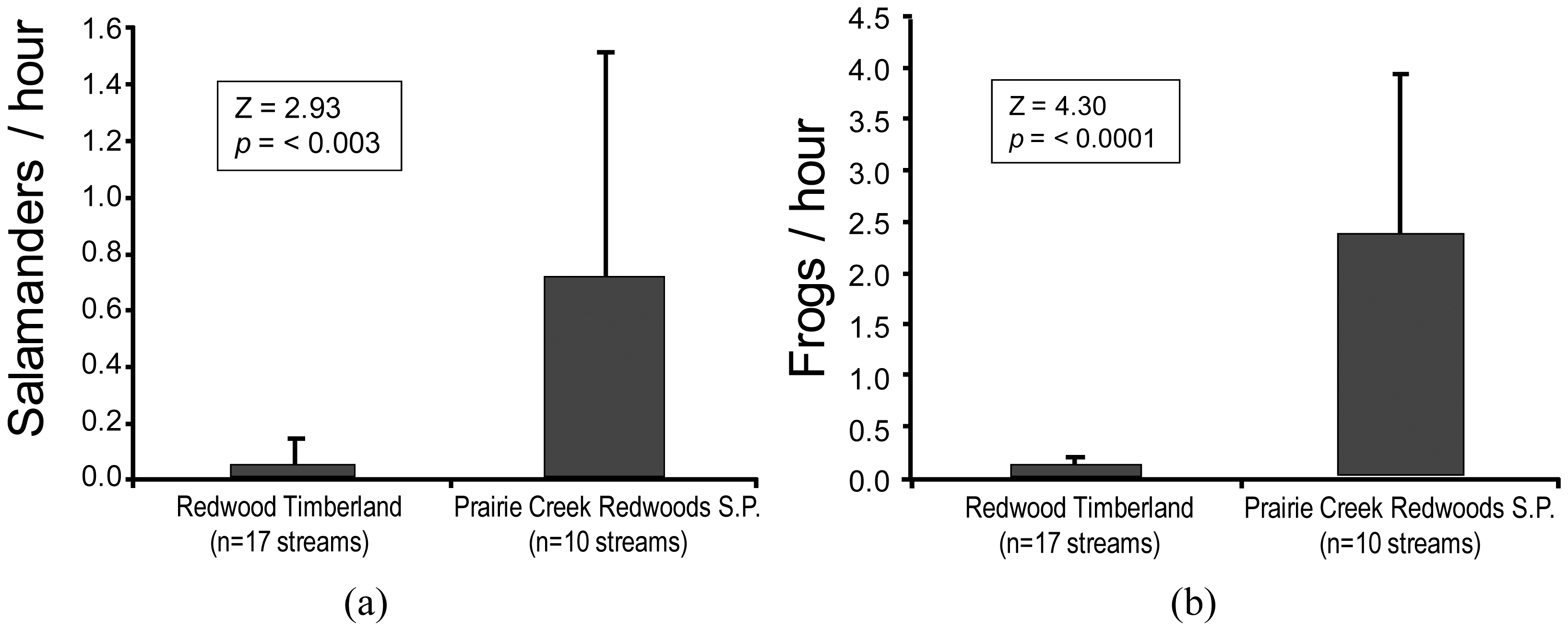 Diversity 03 00503f5 1024