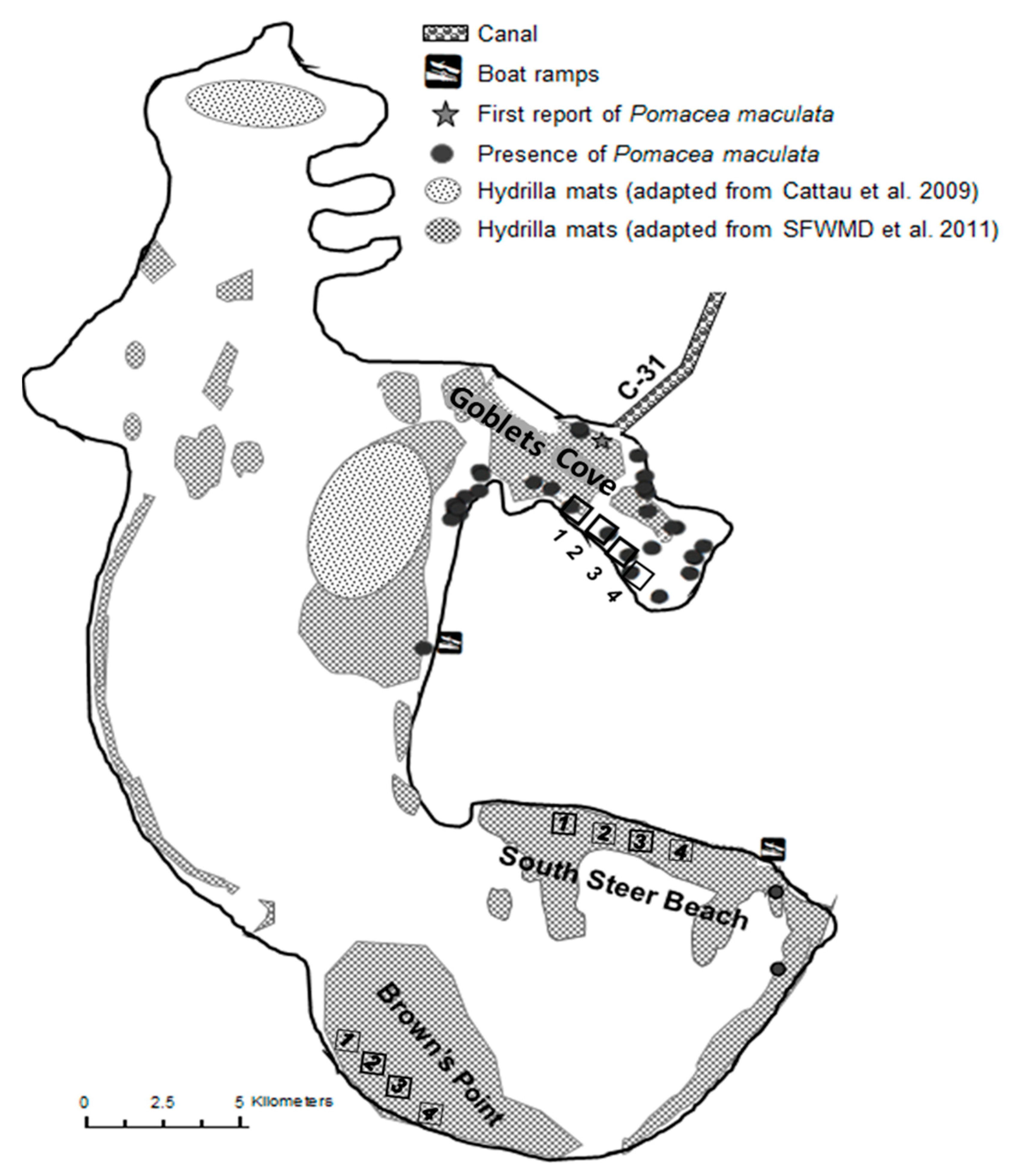Diversity 11 00183 g004