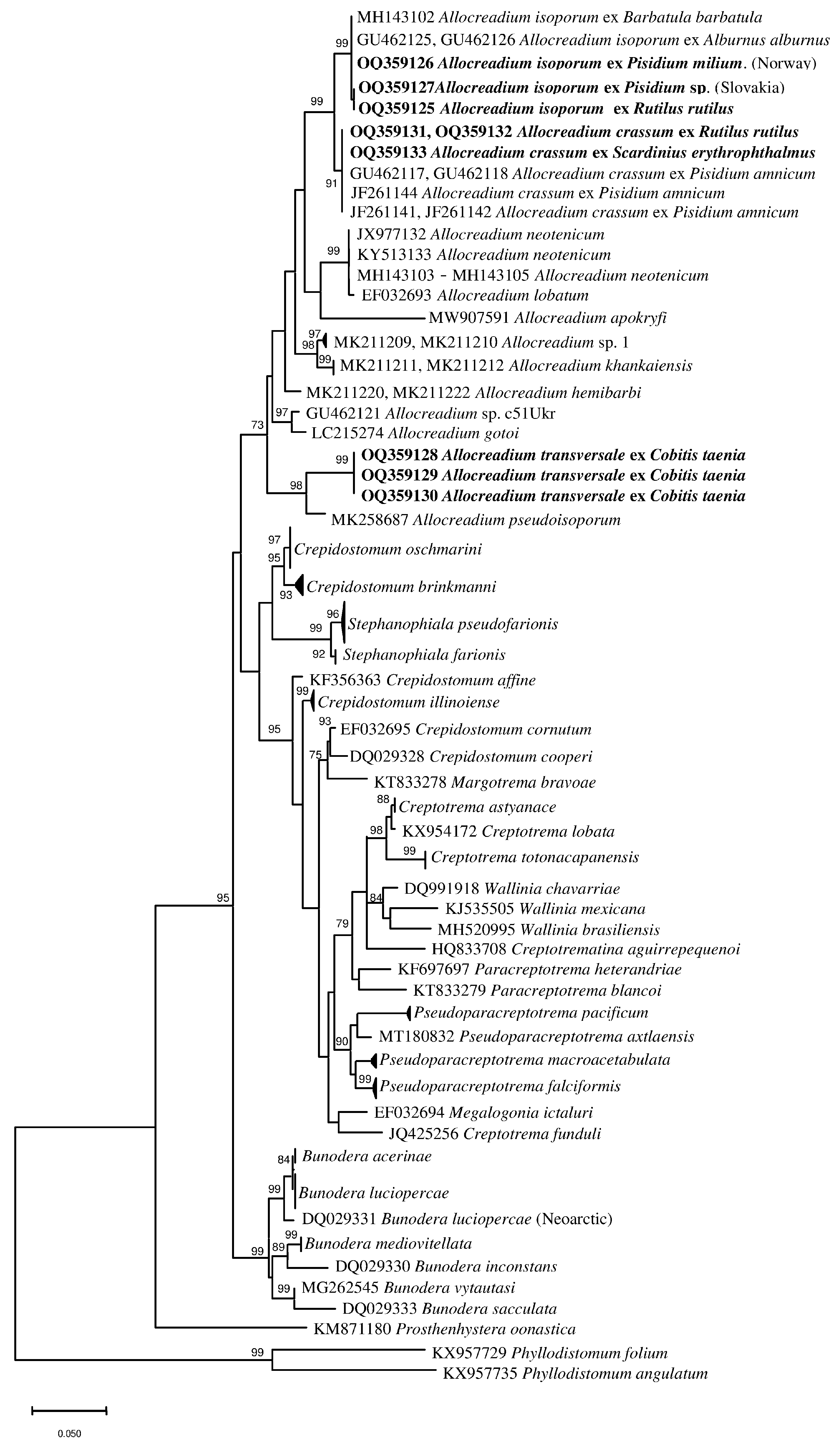 Diversity 15 00645 g001