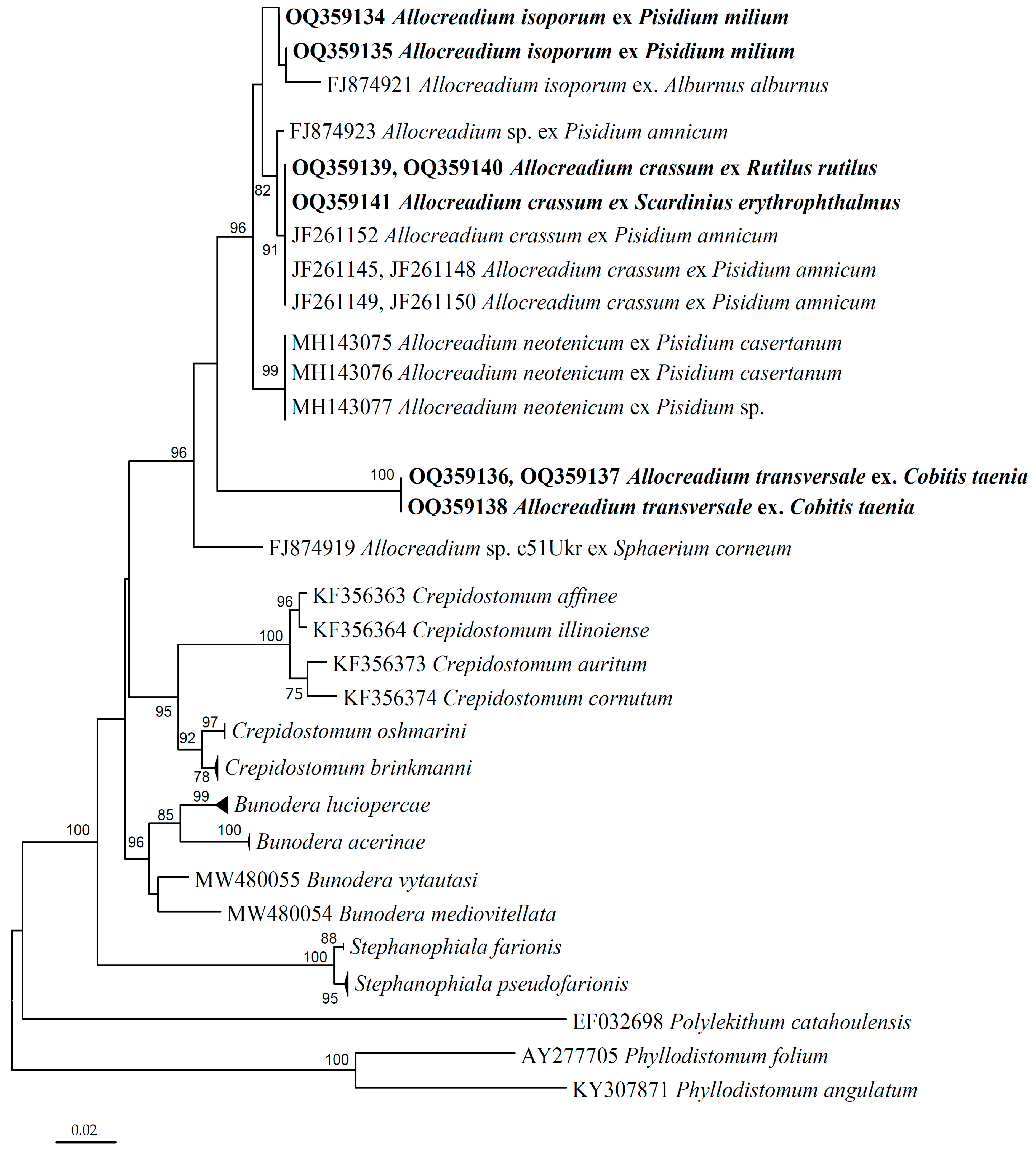Diversity 15 00645 g002
