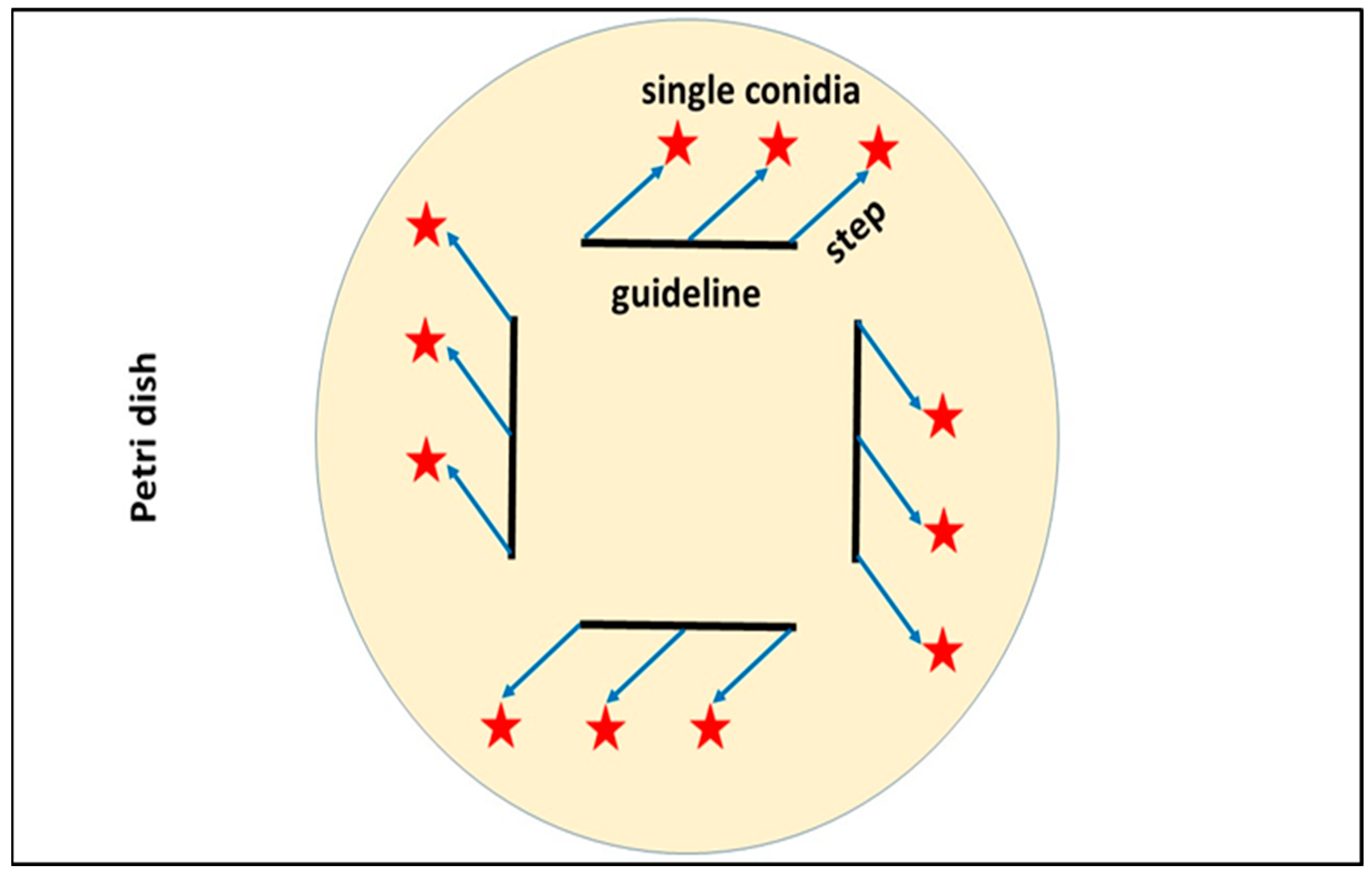 Diversity 15 00862 g002