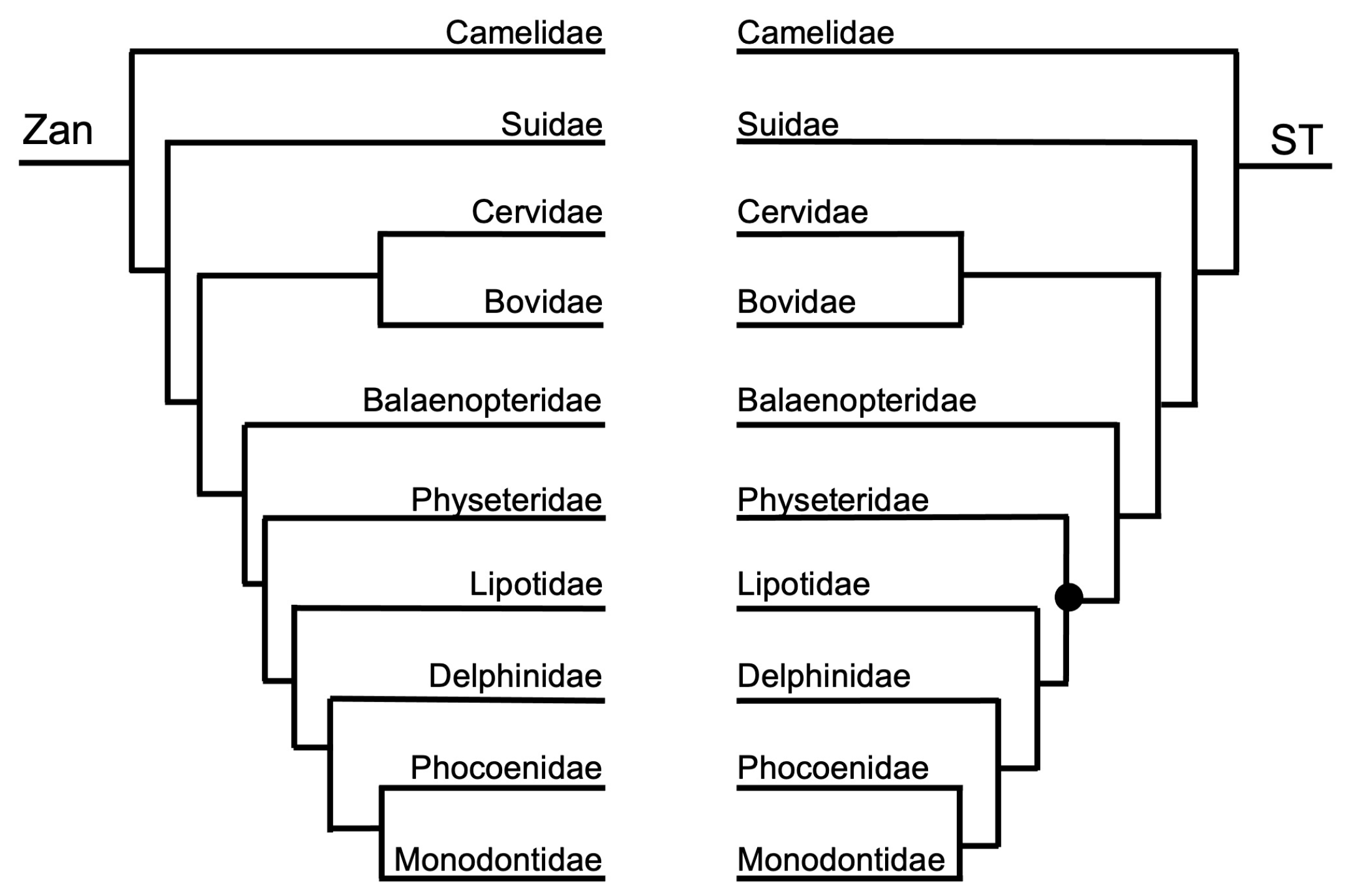 Diversity 15 01145 g007