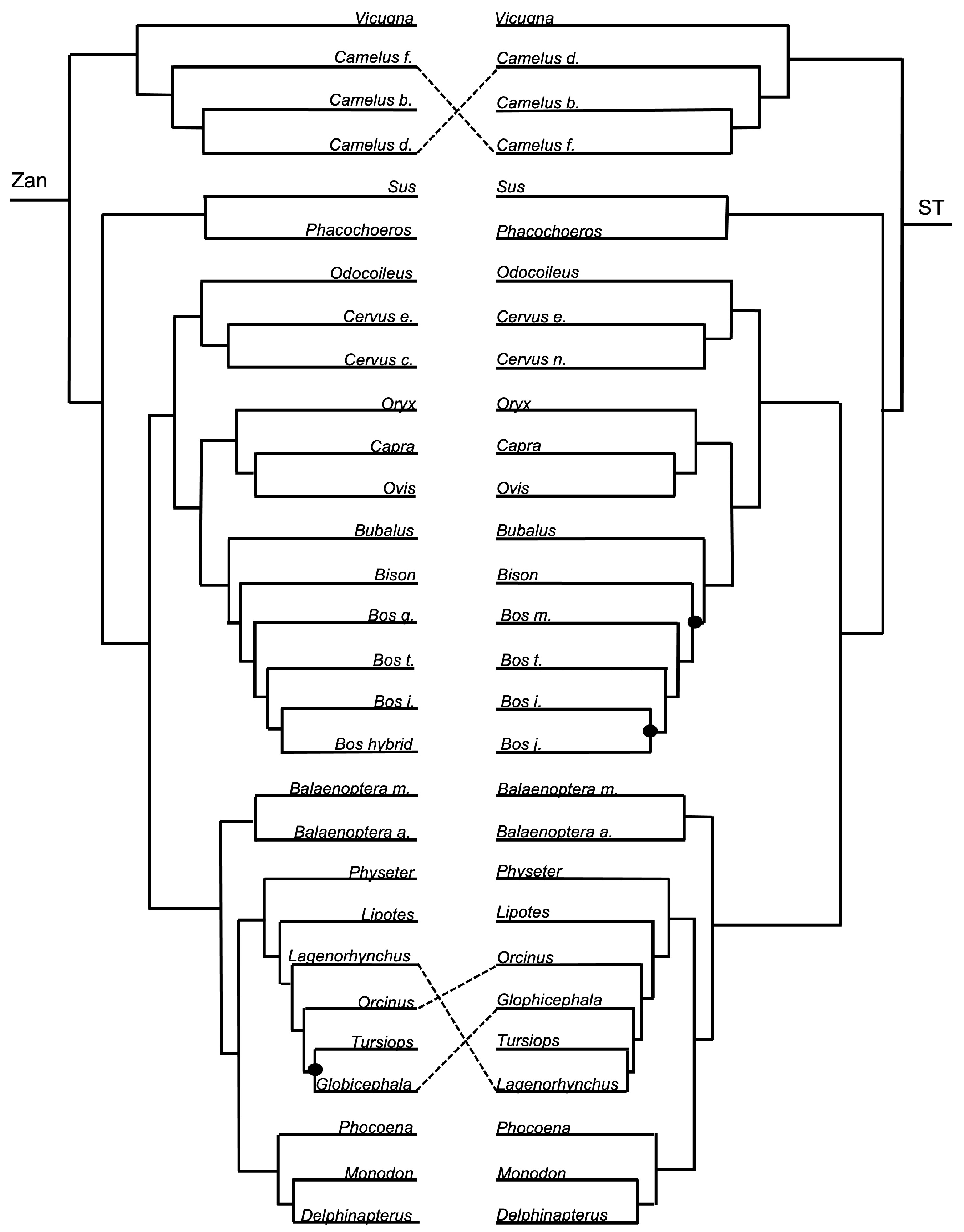 Diversity 15 01145 g008