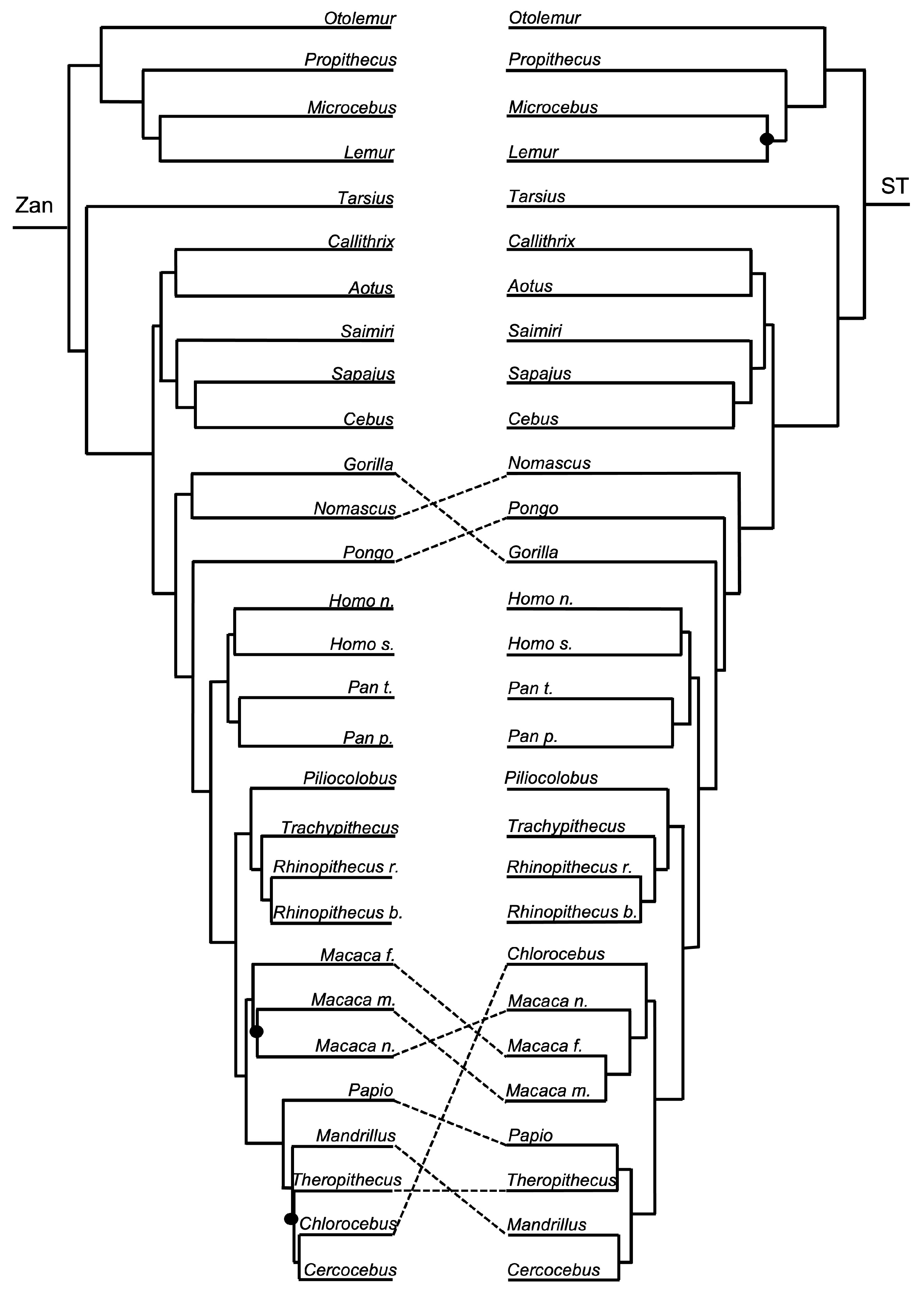 Diversity 15 01145 g012