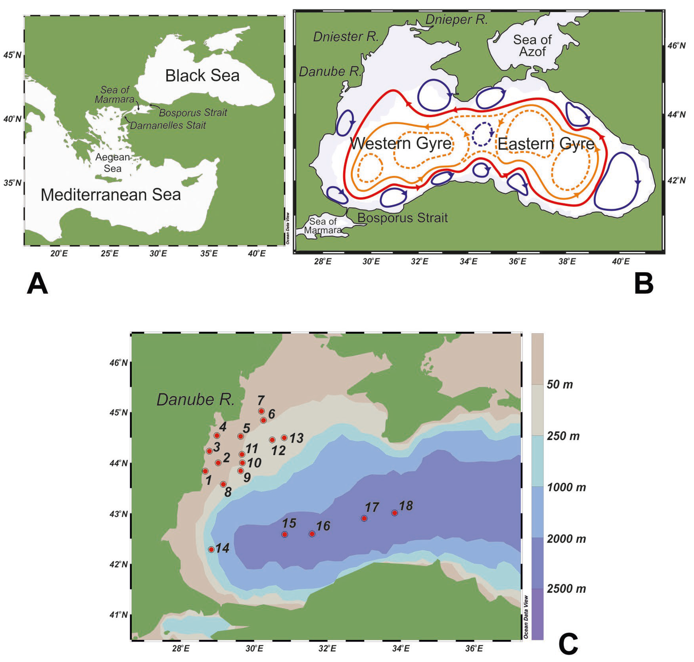 Diversity 15 01194 g001