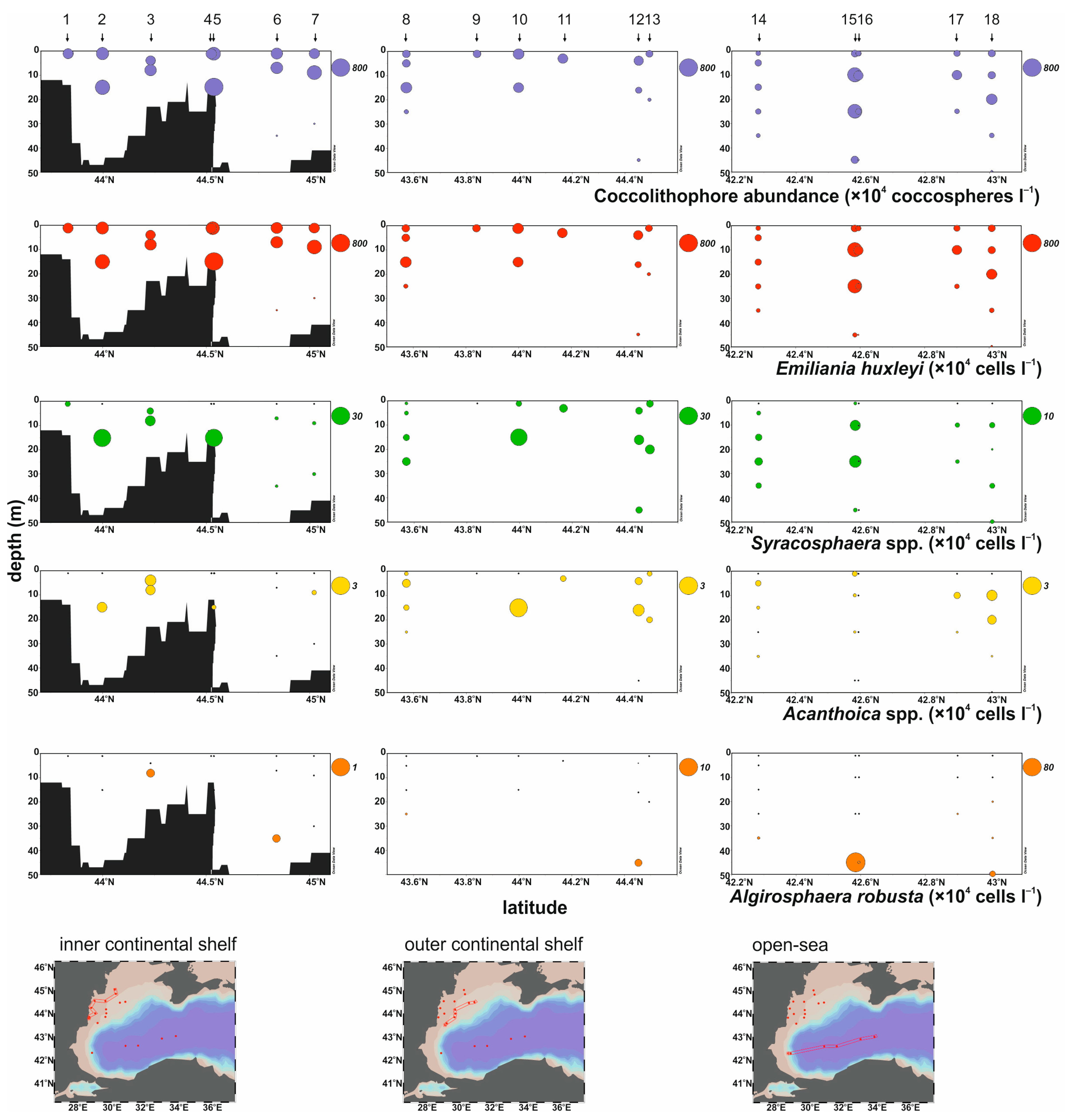 Diversity 15 01194 g003