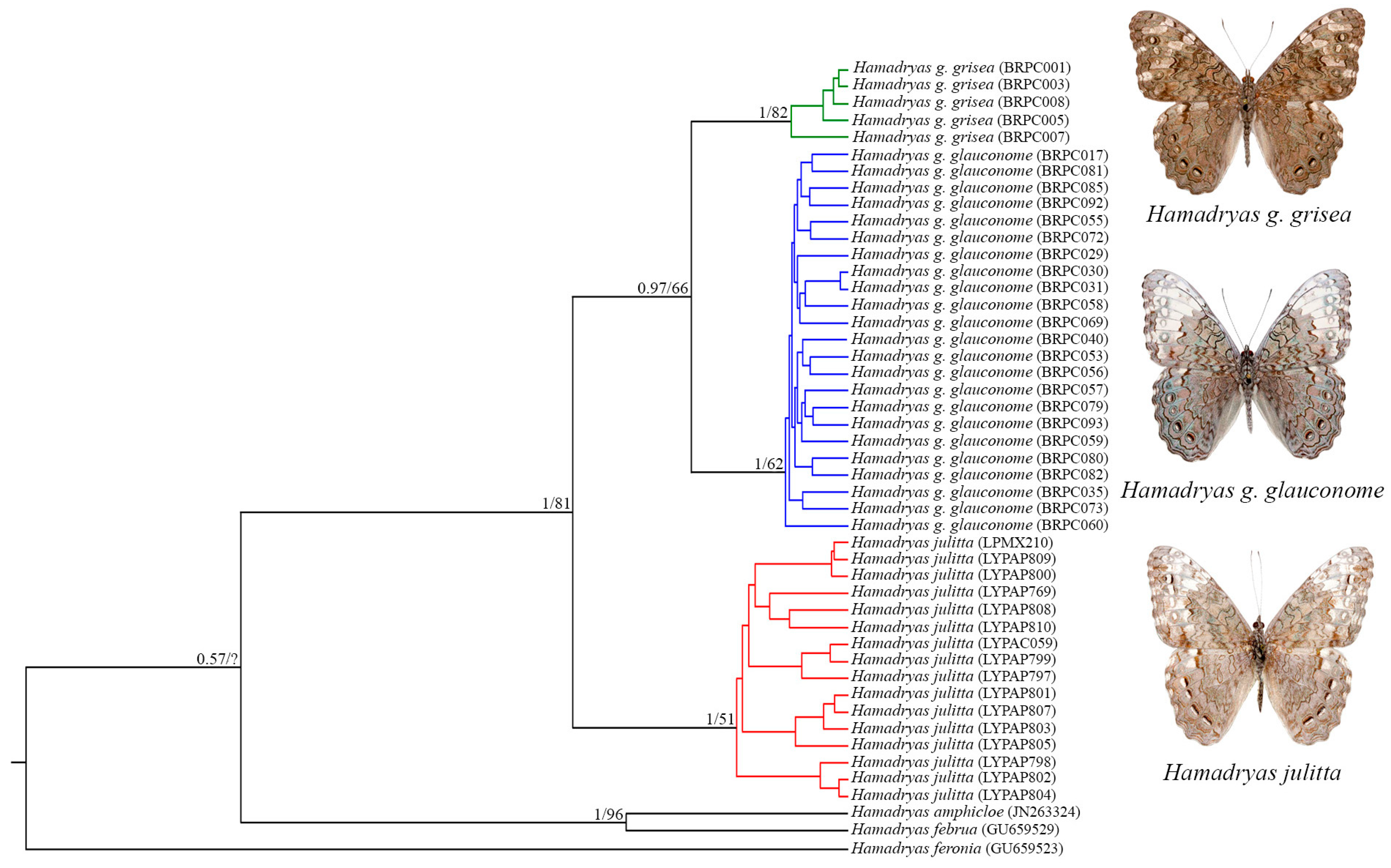 Diversity 15 01196 g003