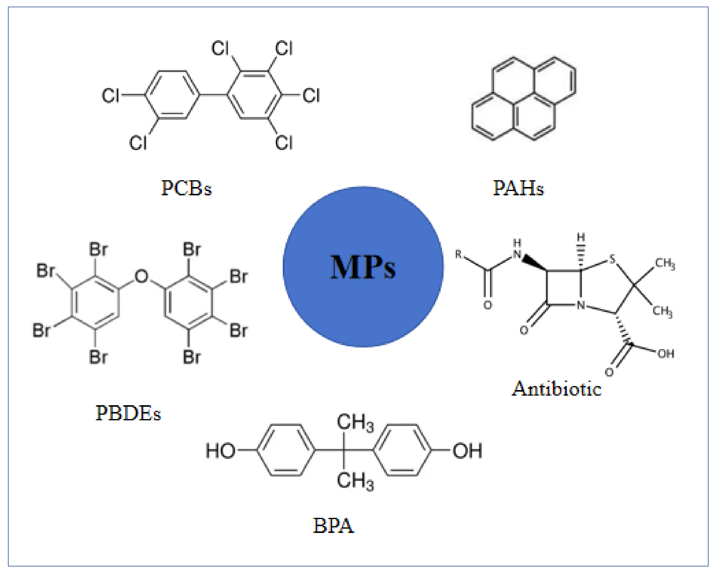 Diversity 16 00070 g002