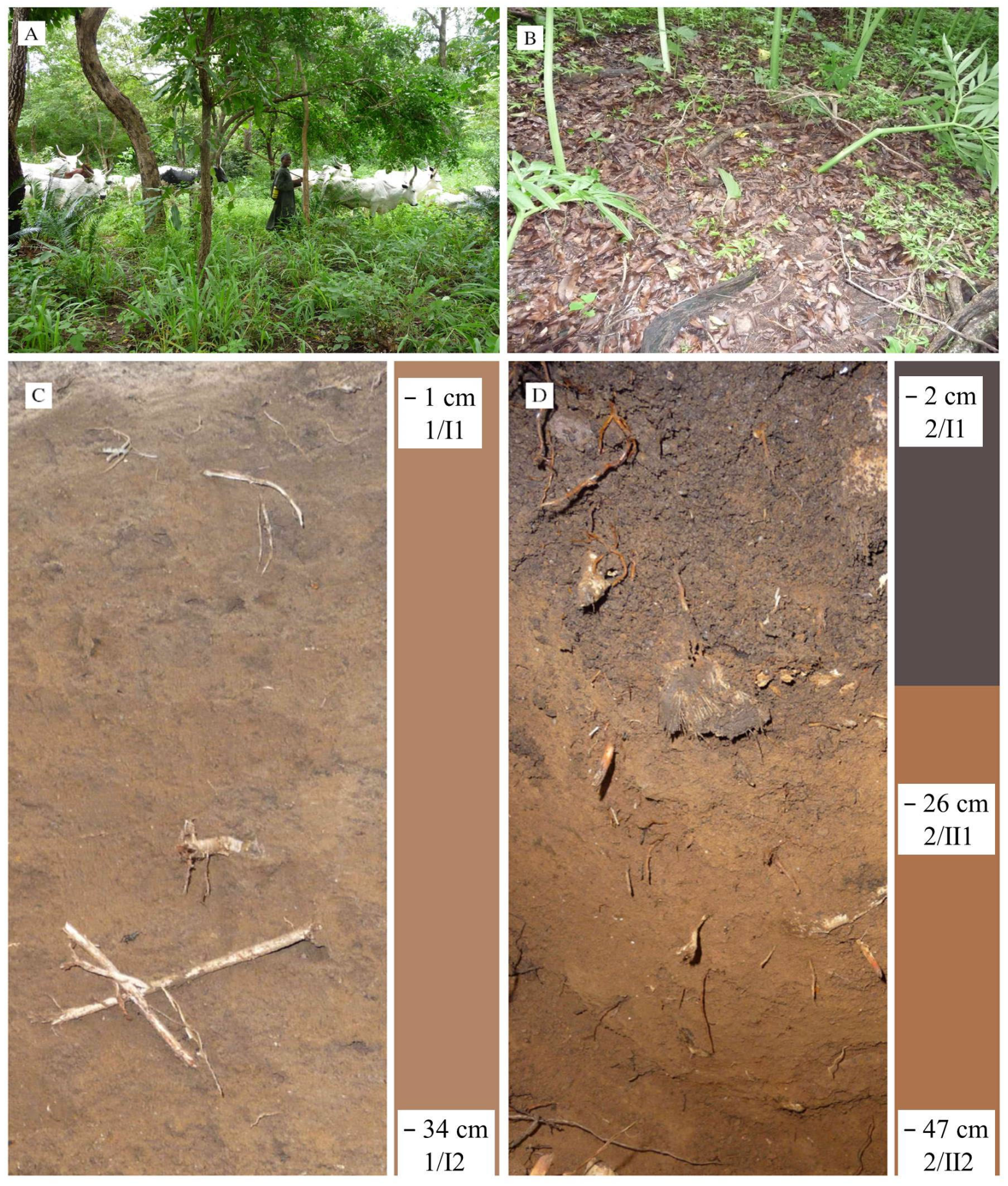 Diversity 16 00097 g001