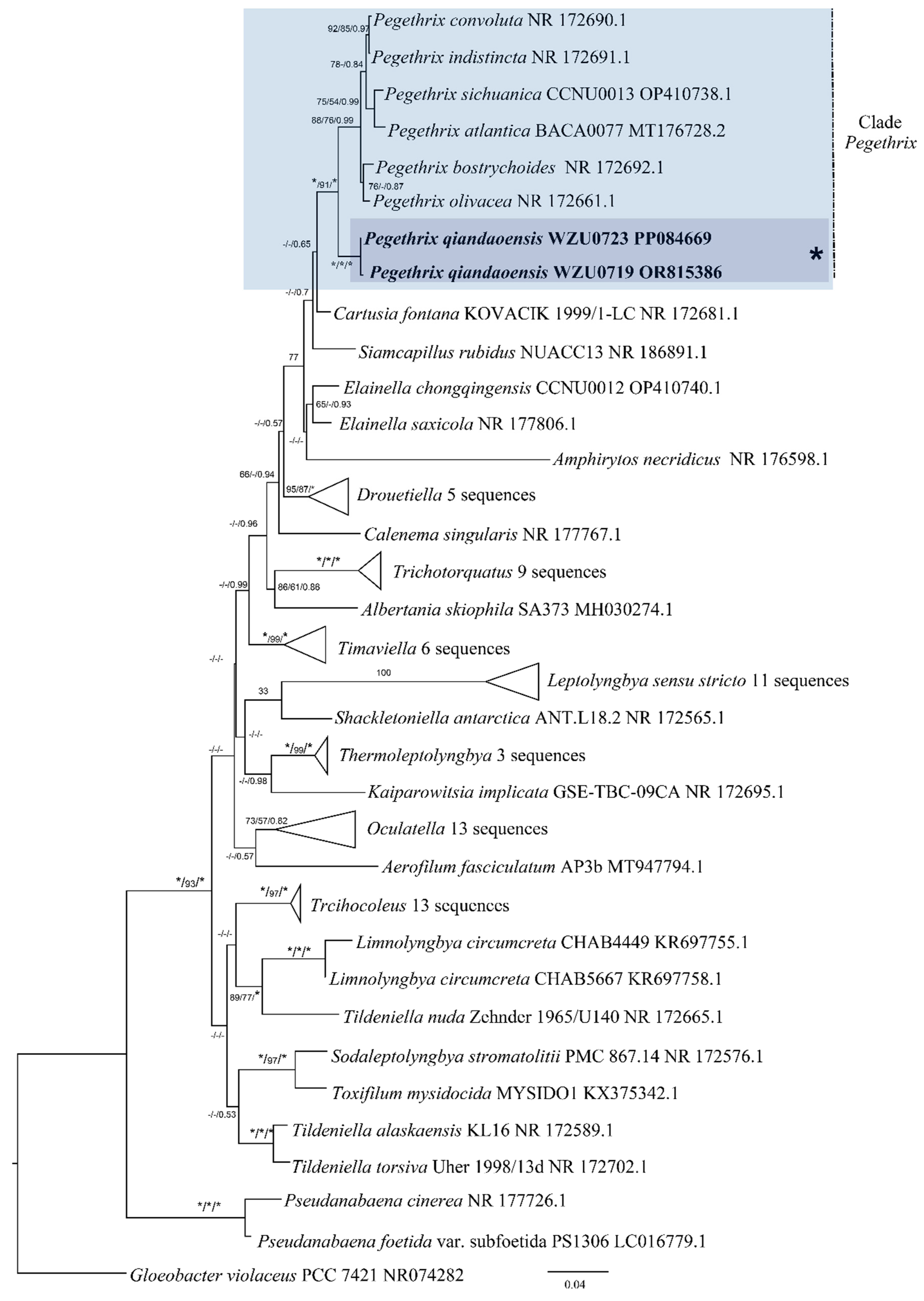Diversity 16 00161 g003