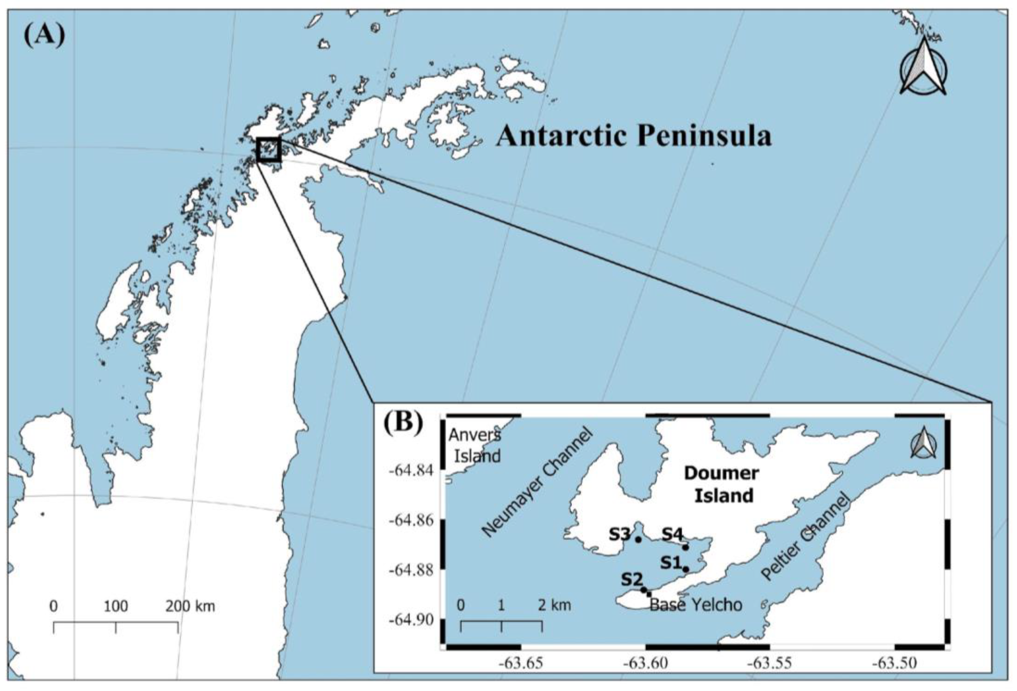 Diversity 16 00162 g001
