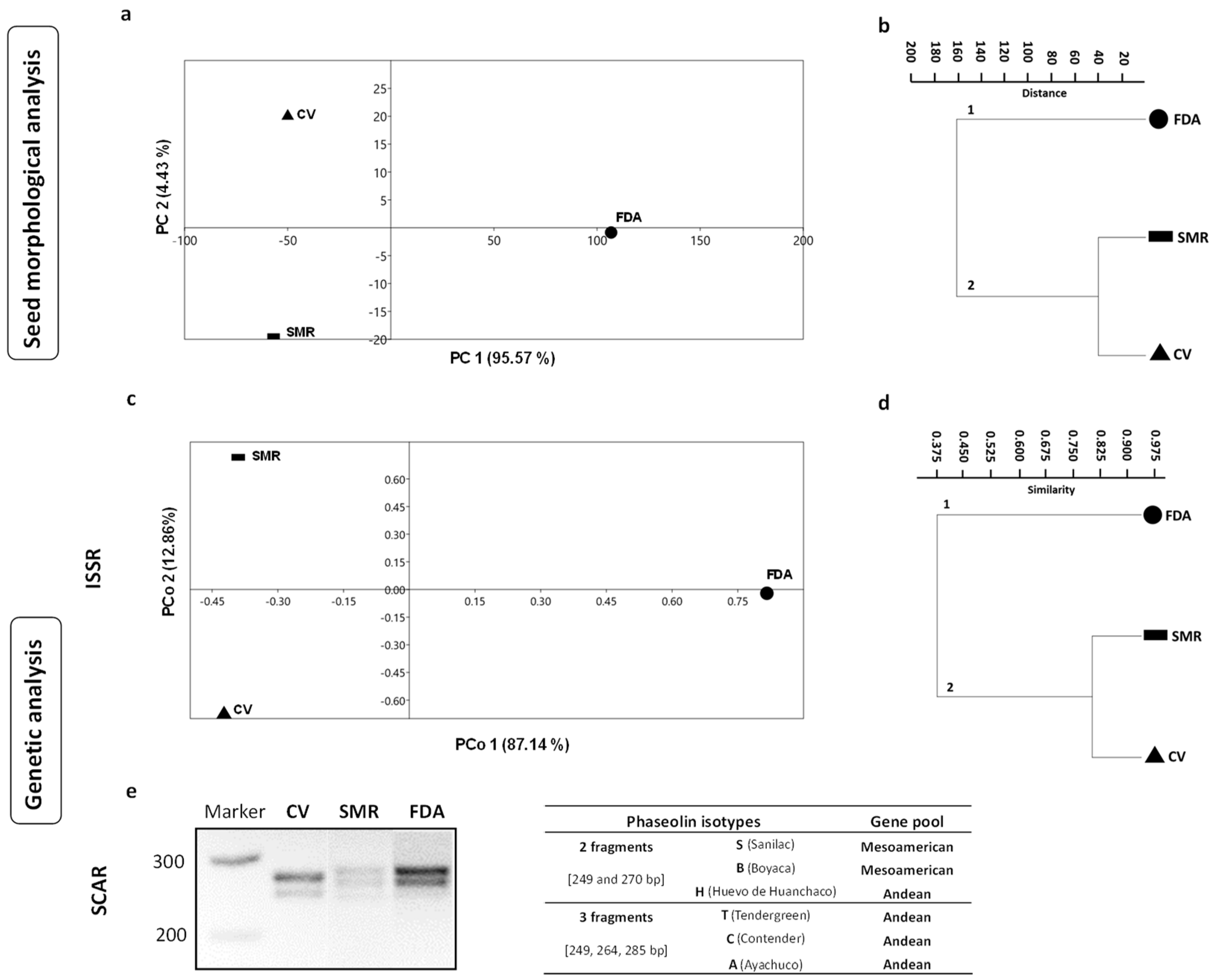 Diversity 16 00240 g001