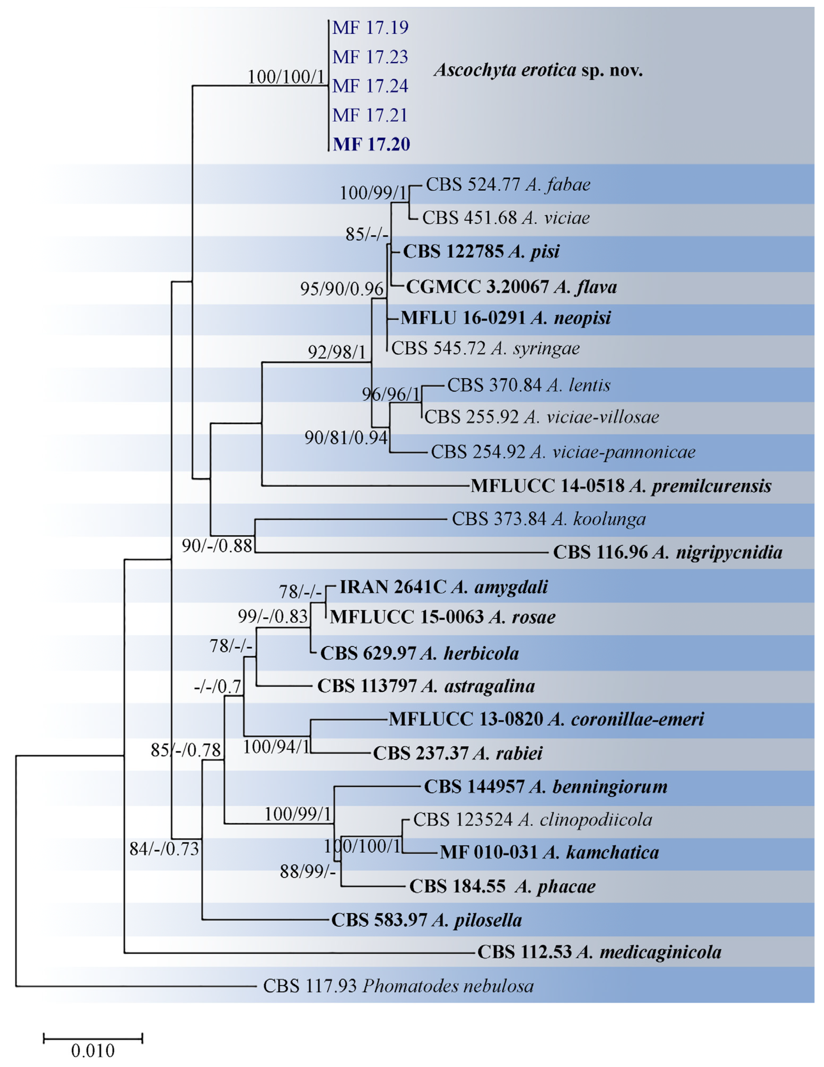 Diversity 16 00246 g001