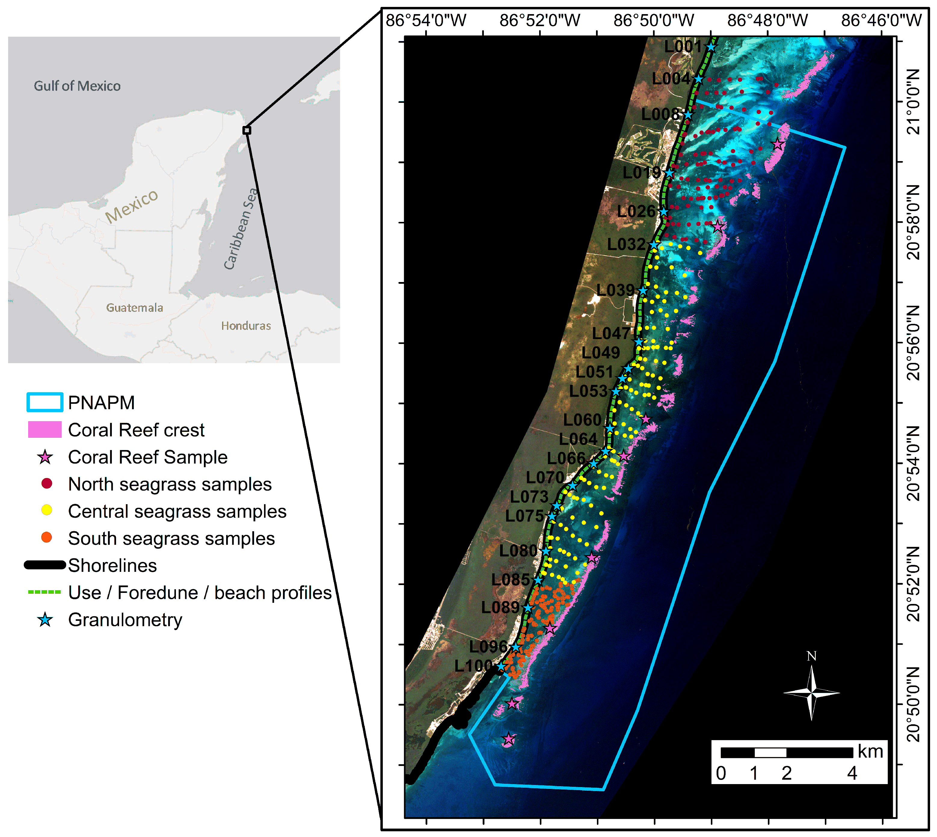 Diversity 16 00266 g001