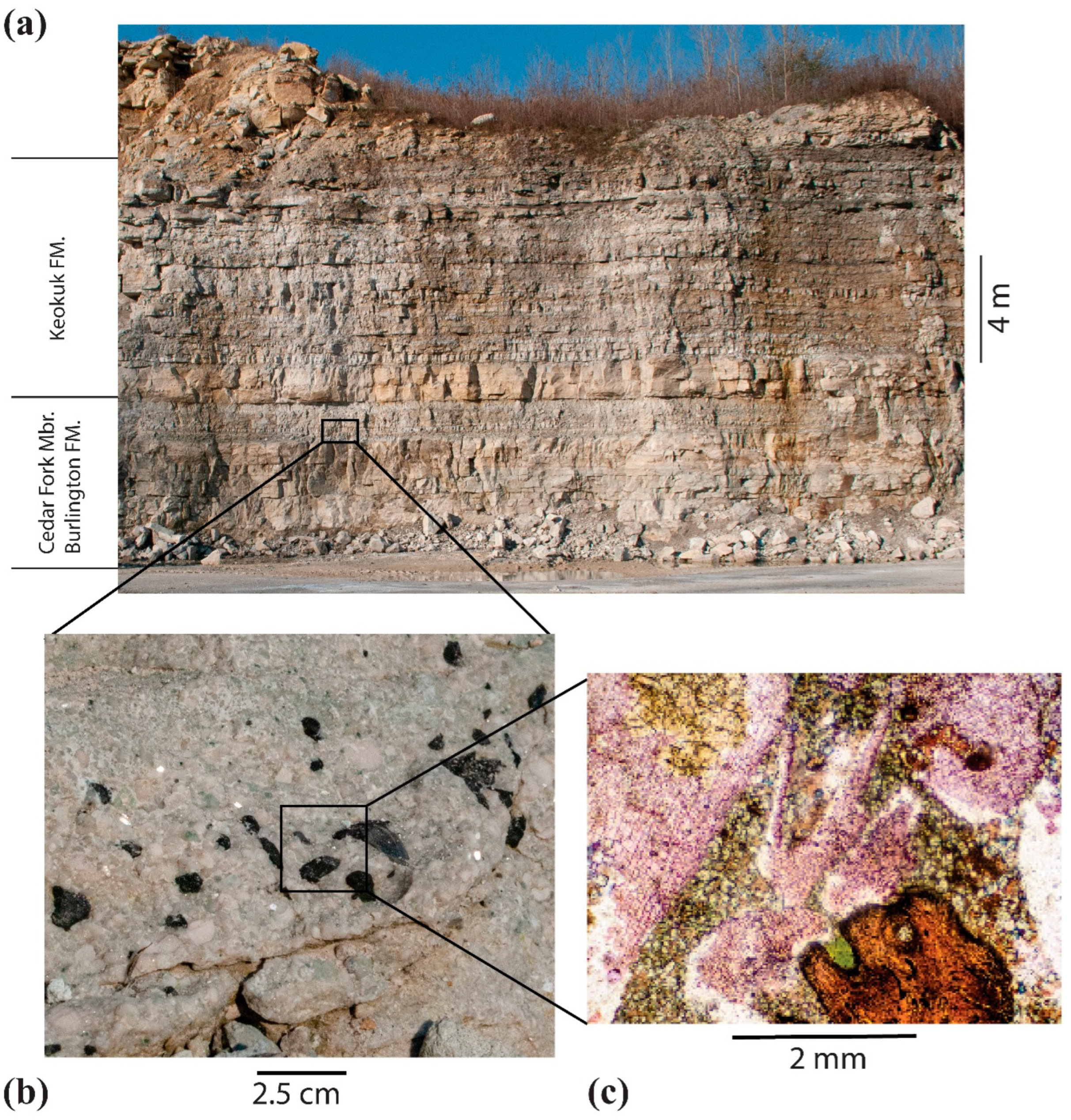 Diversity 16 00276 g001