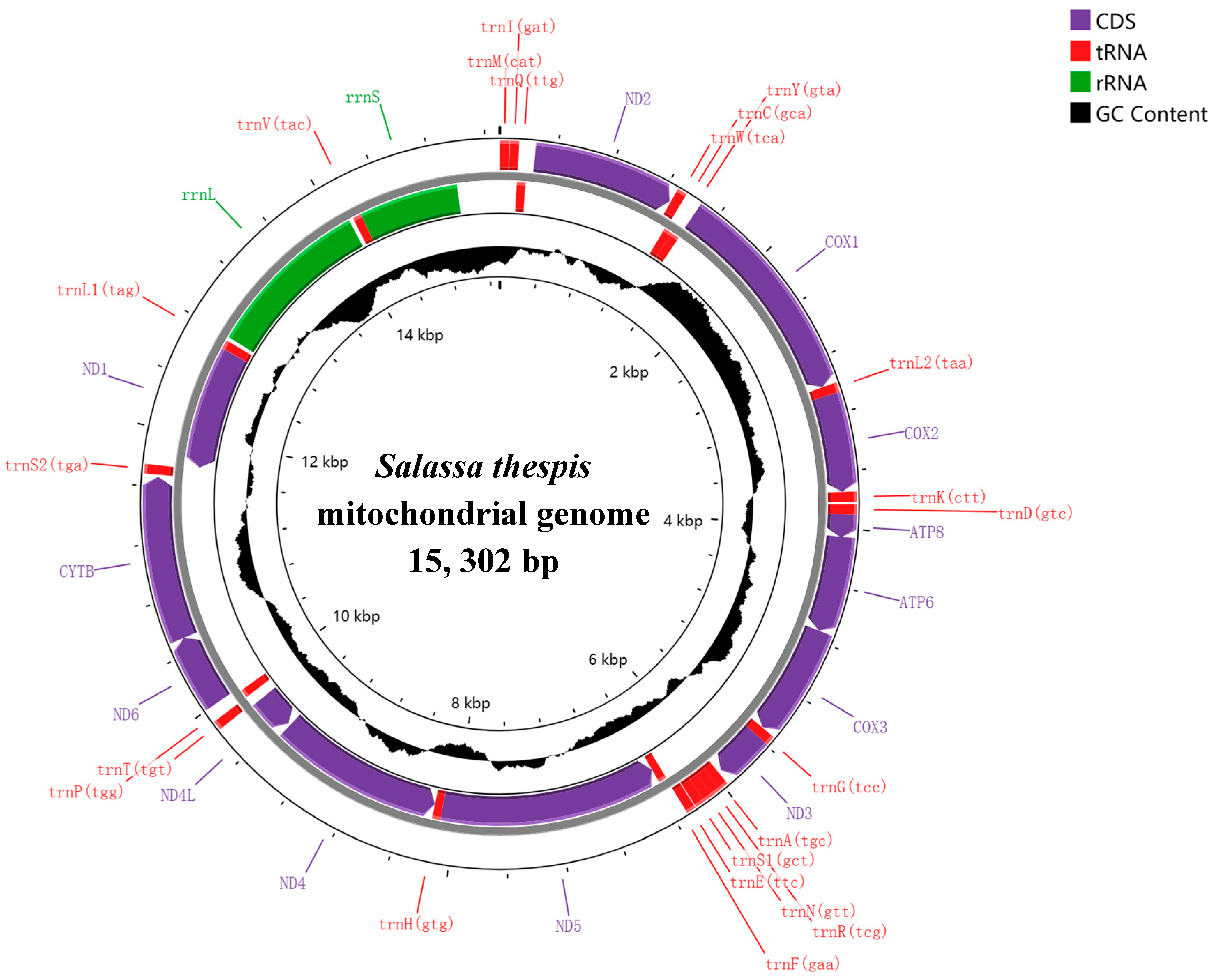 Diversity 16 00282 g001