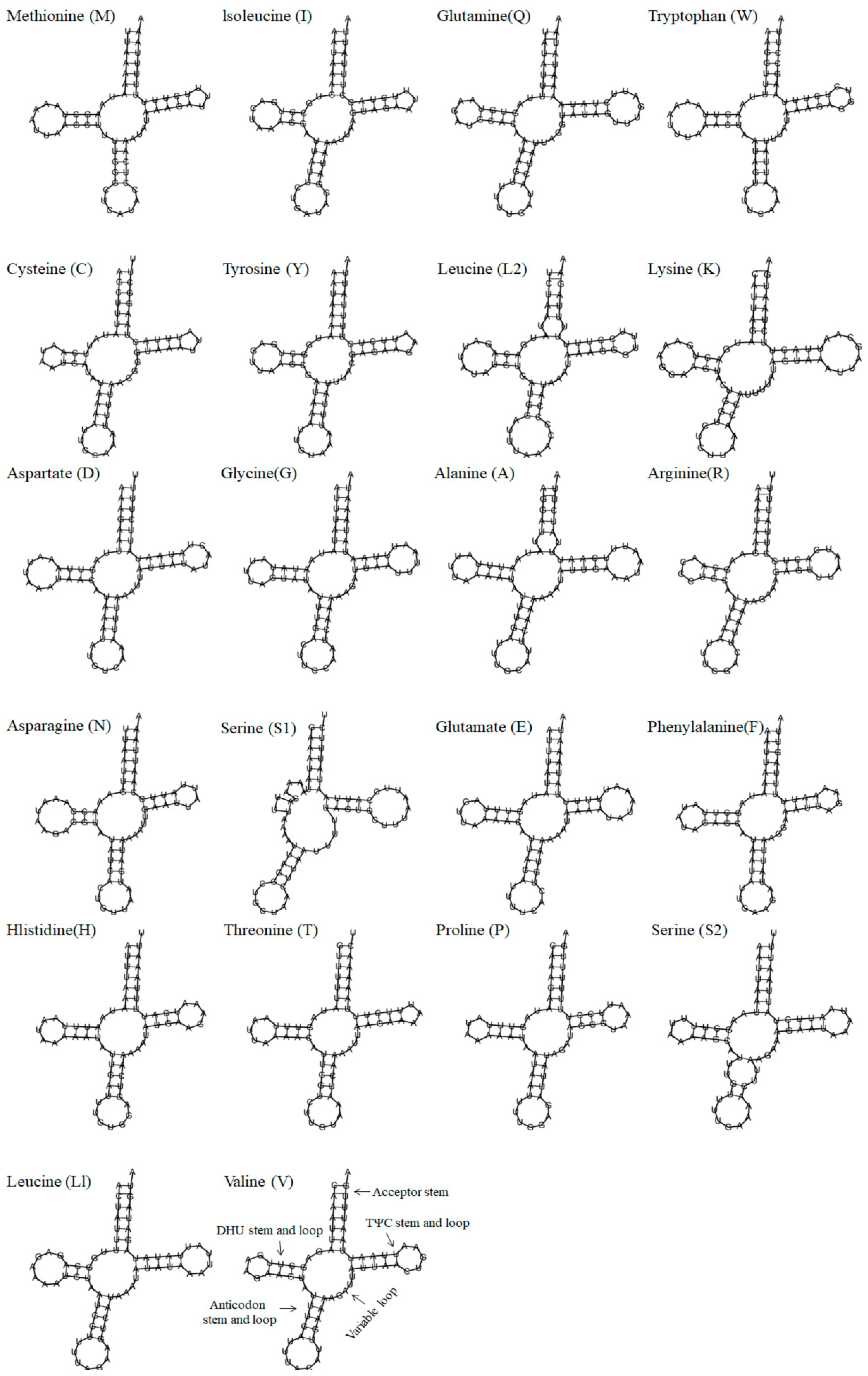 Diversity 16 00282 g003