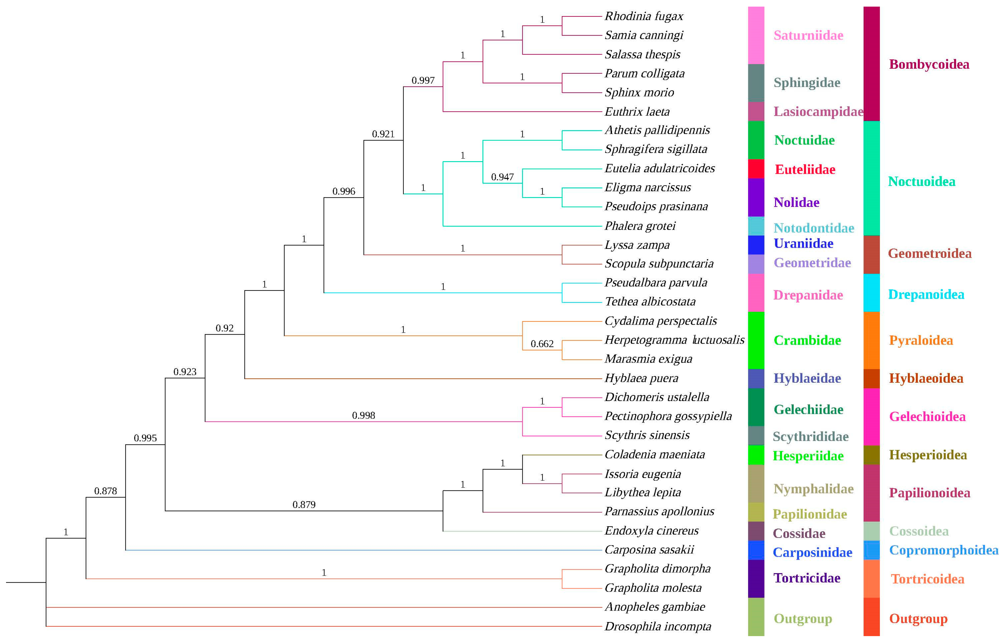 Diversity 16 00282 g006