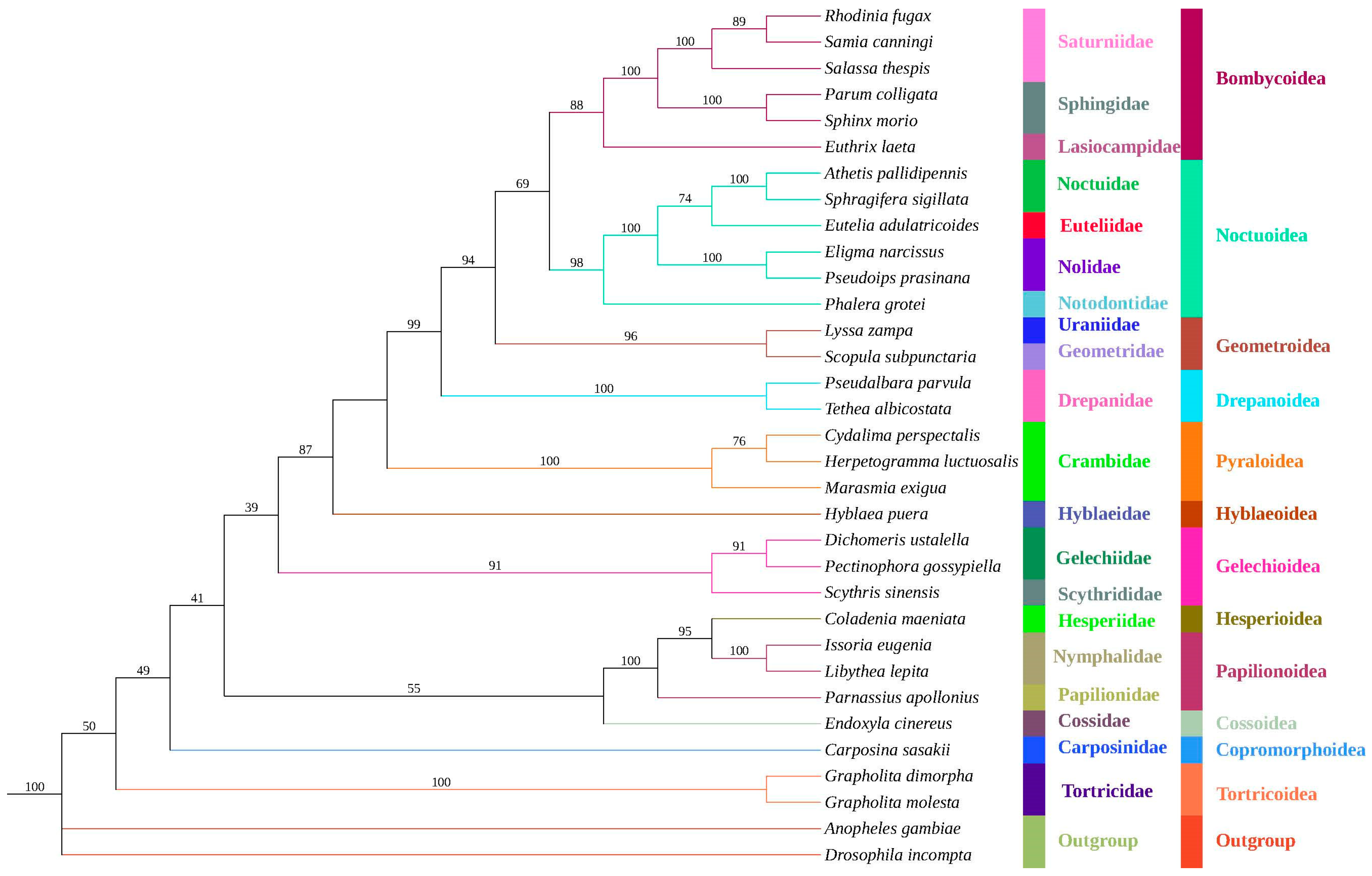 Diversity 16 00282 g007