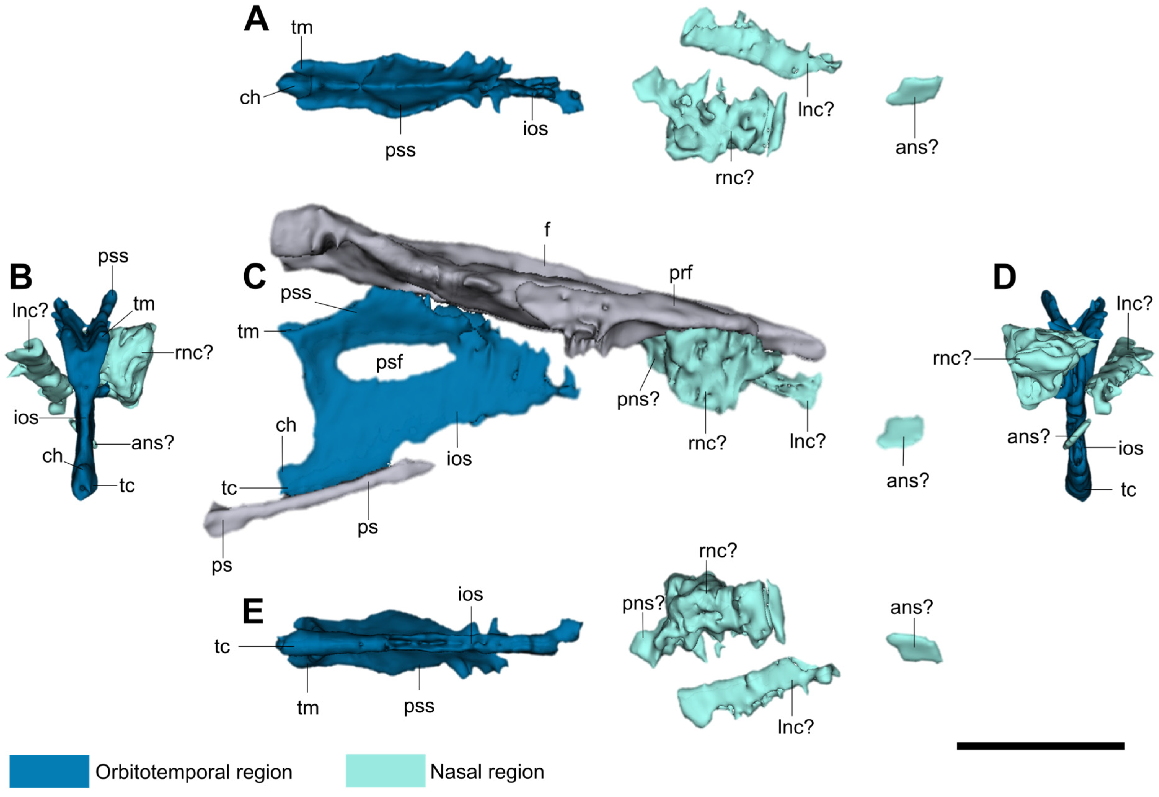 Diversity 16 00285 g003