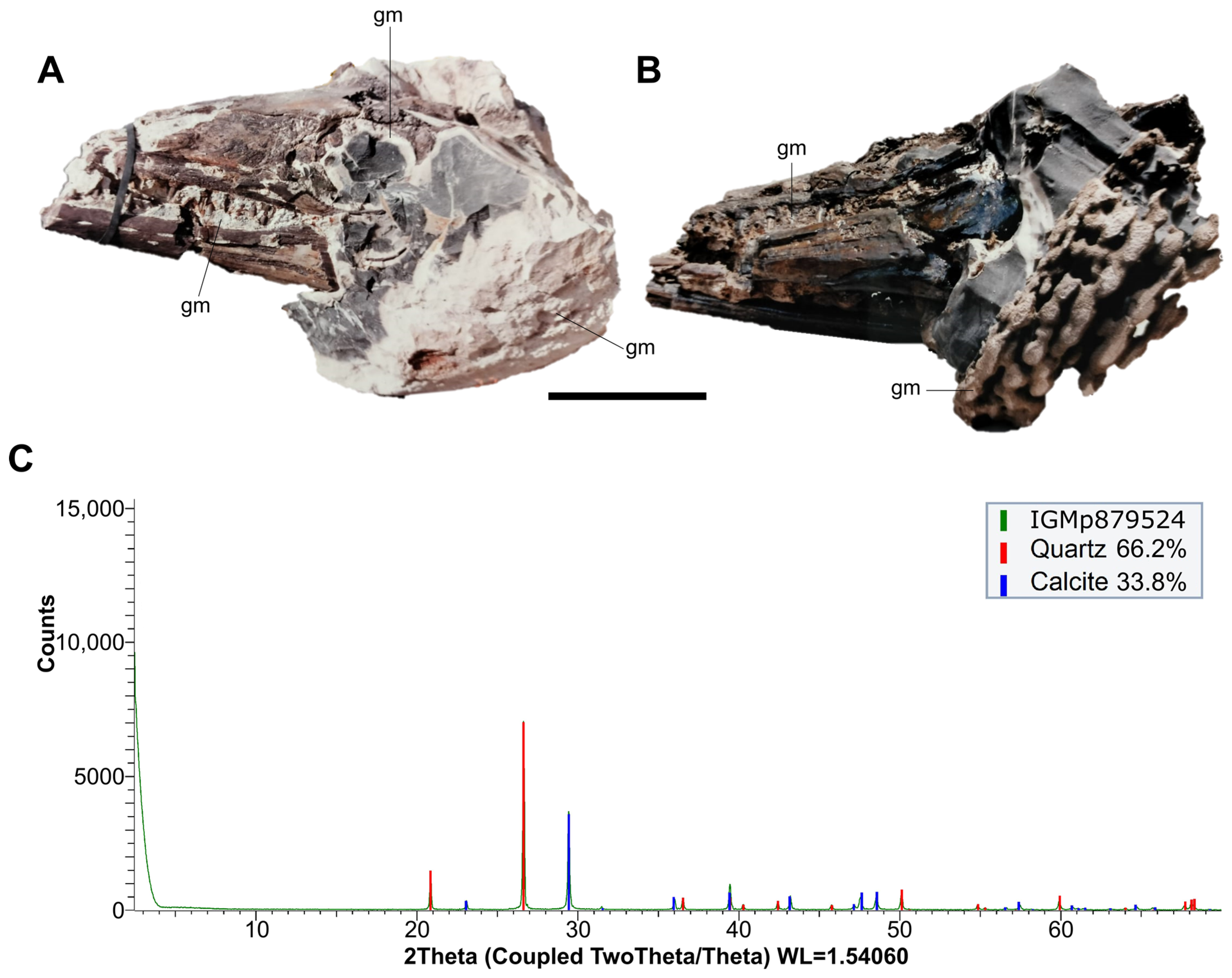 Diversity 16 00285 g004