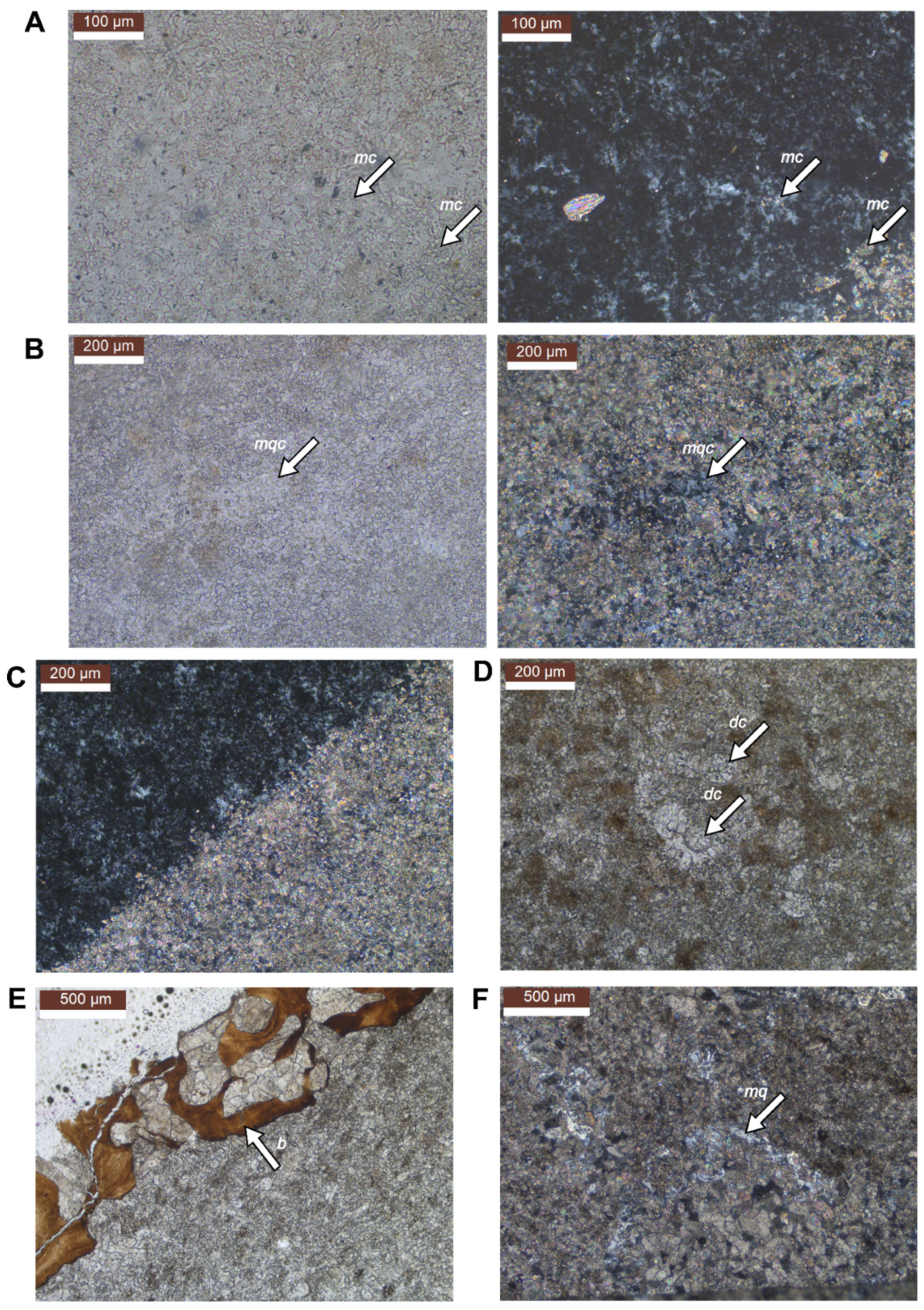 Diversity 16 00285 g005