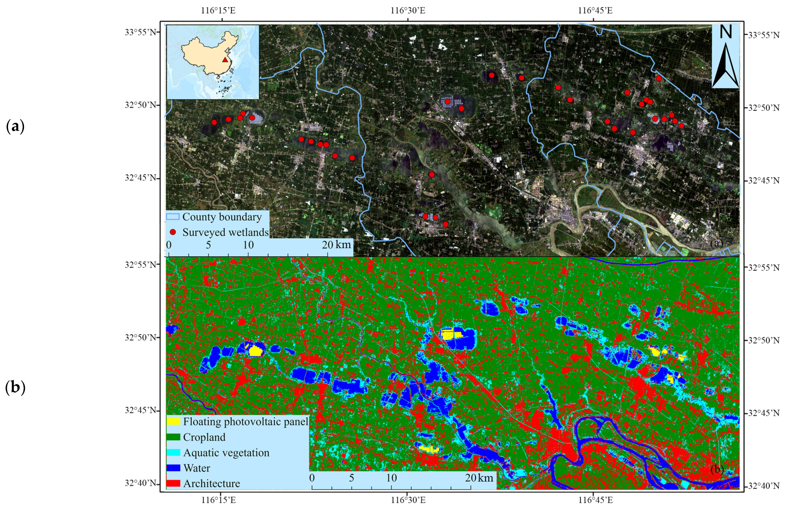 Diversity 16 00304 g001