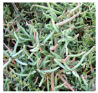 Drones 04 00025 i002