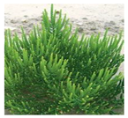 Drones 04 00025 i003