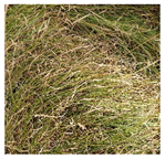 Drones 04 00025 i004