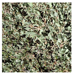 Drones 04 00025 i005