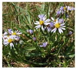 Drones 04 00025 i006