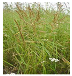 Drones 04 00025 i008