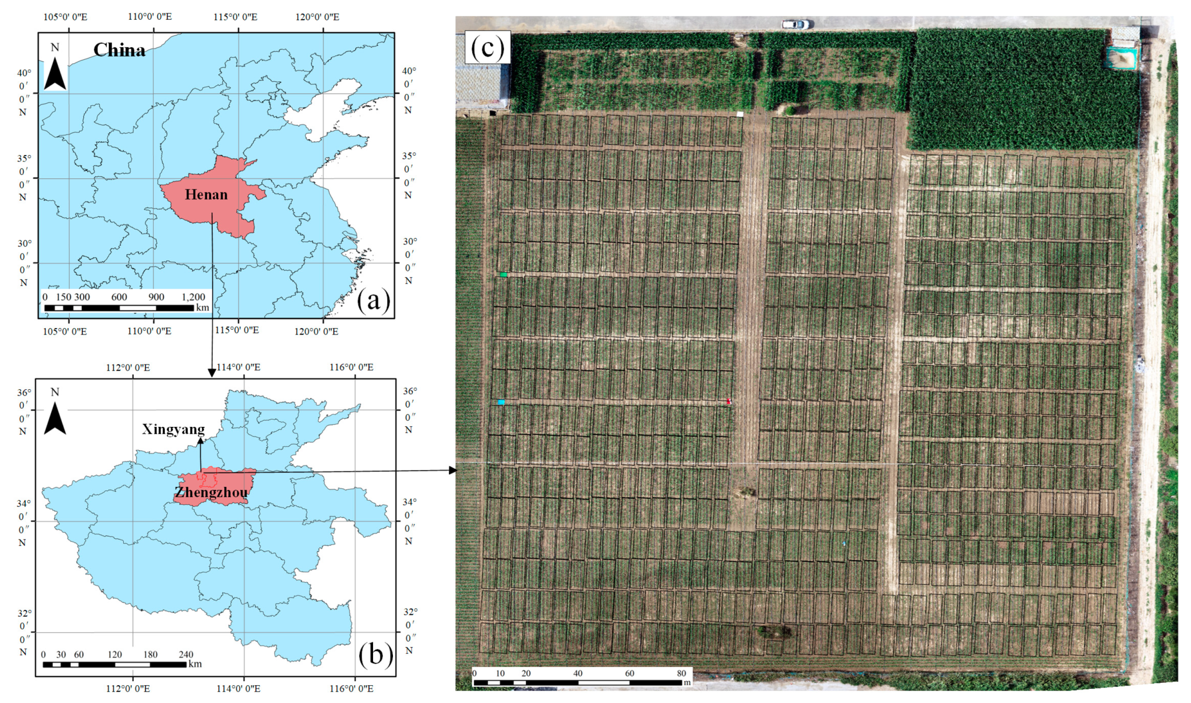 Drones 08 00140 g001