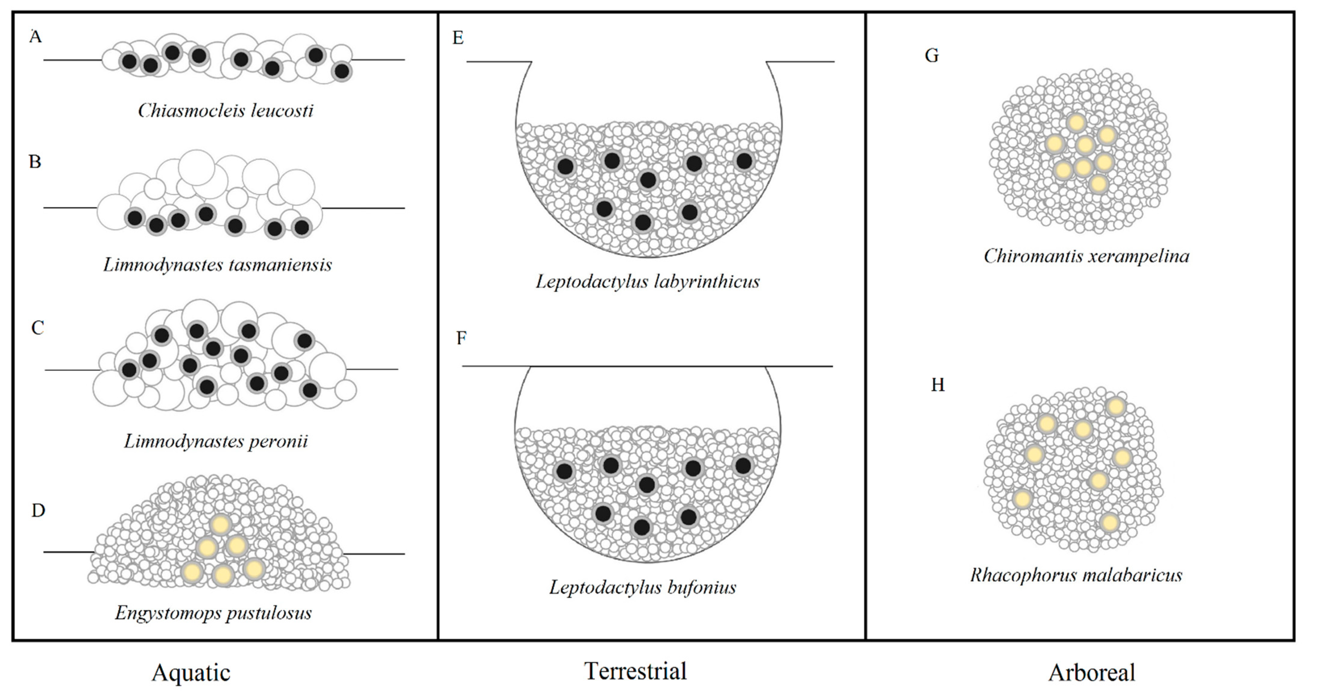 Ecologies 02 00006 g001