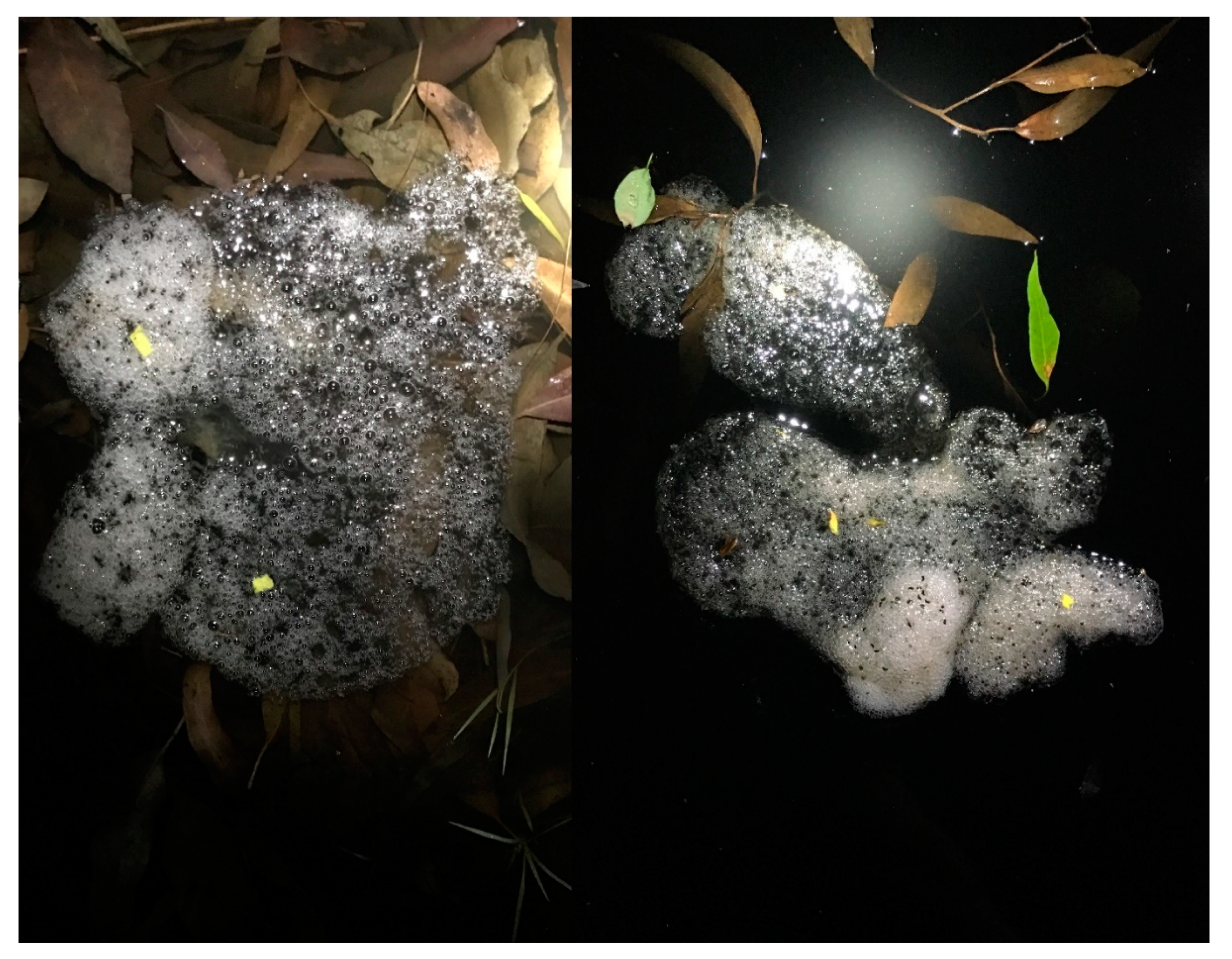 Ecologies 02 00006 g007