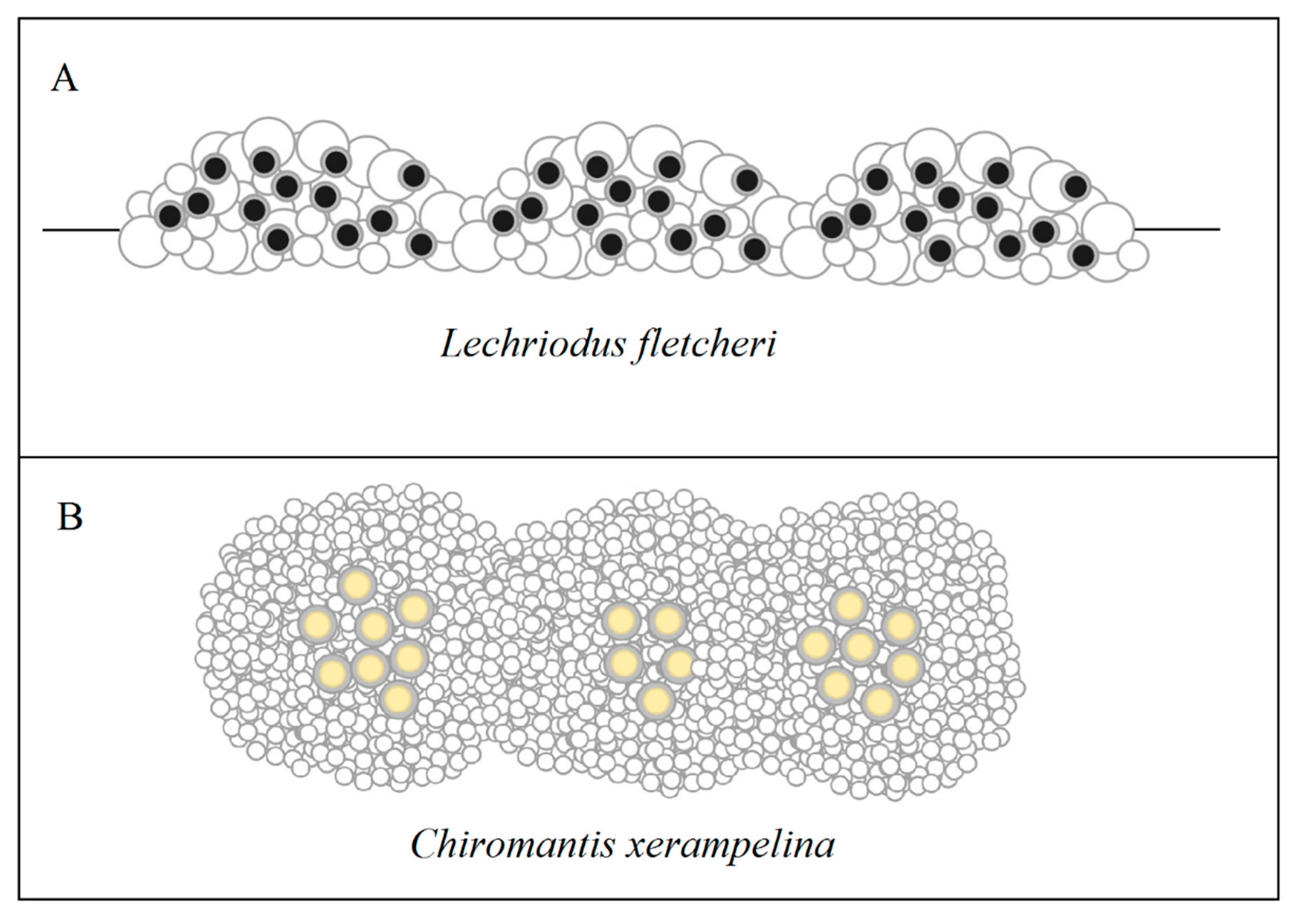 Ecologies 02 00006 g008