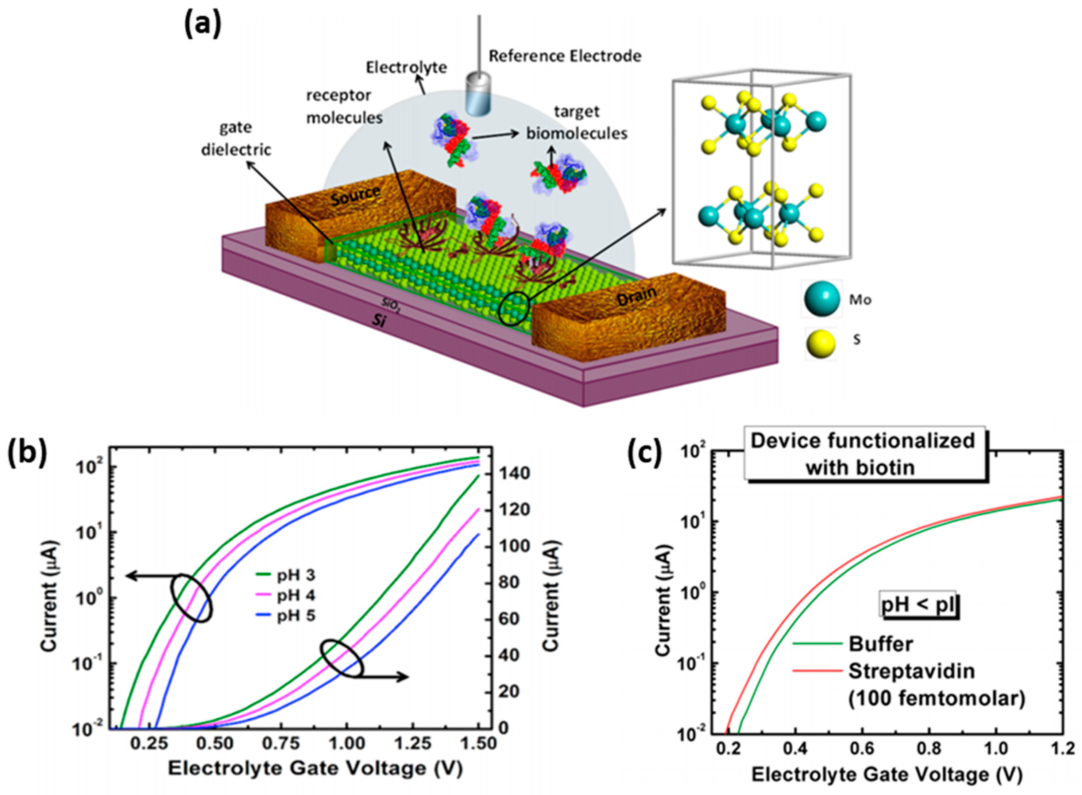 Electrochem 01 00017 g008