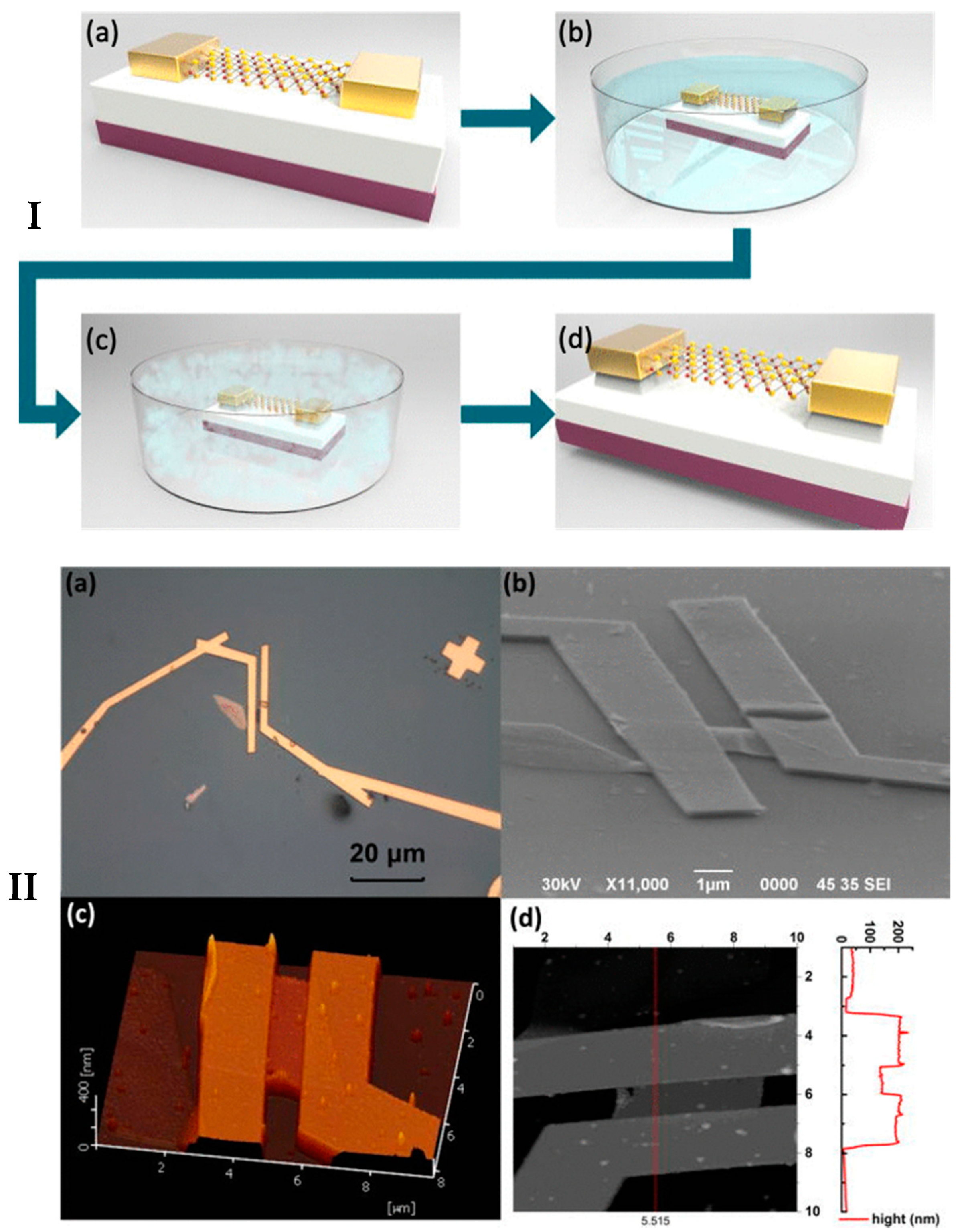 Electrochem 01 00017 g009