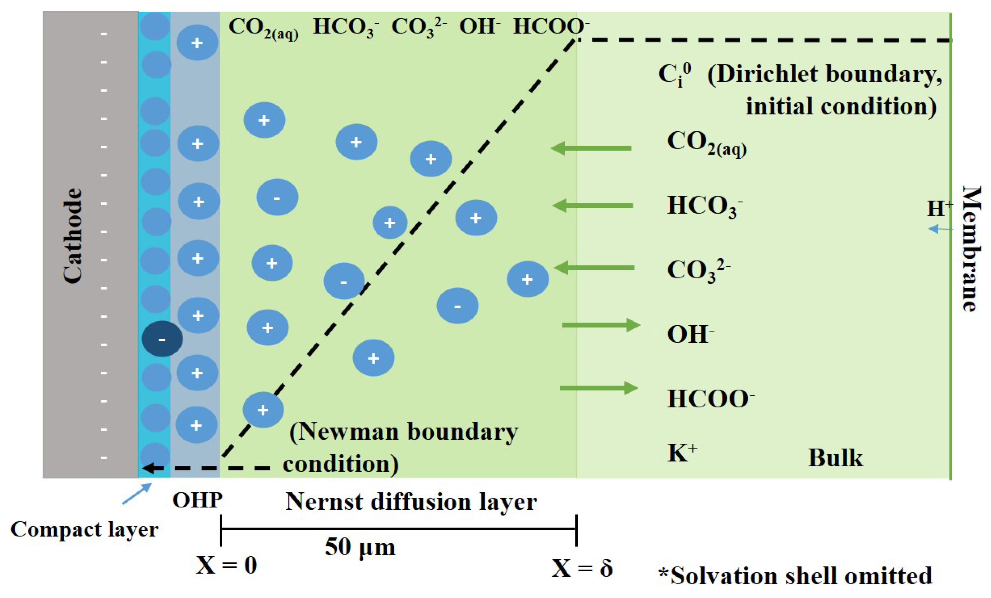 Electrochem 03 00038 g002