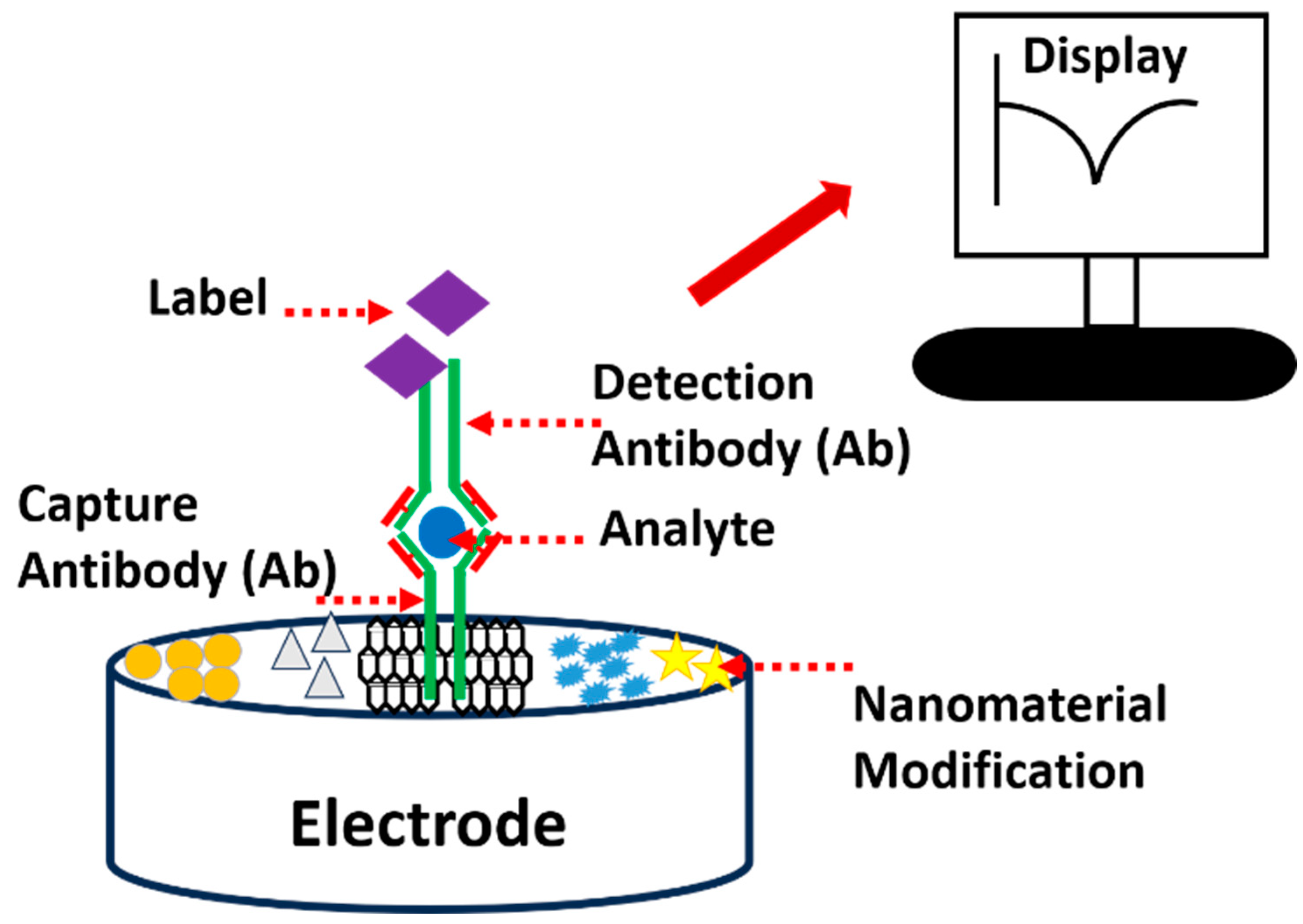Electrochem 05 00010 g002